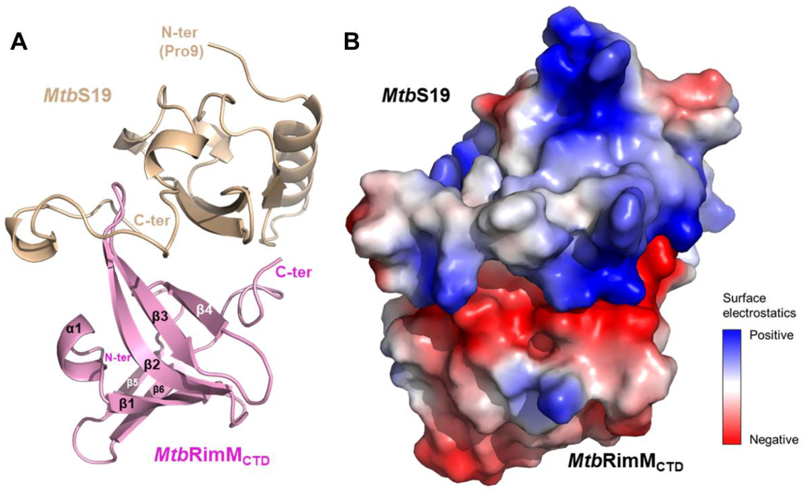 Biomolecules 11 00597 g008