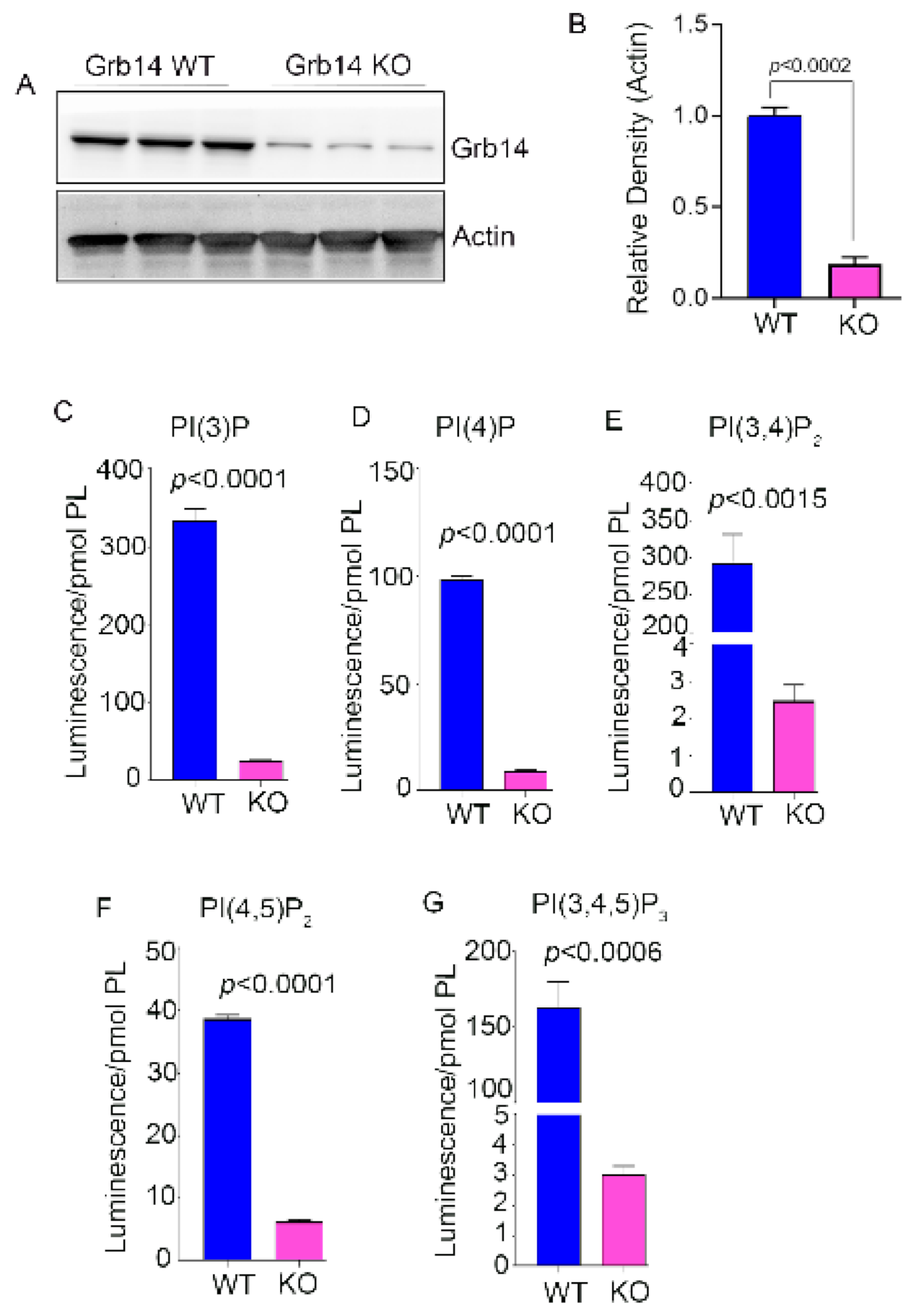 Biomolecules 11 00602 g003 Biomolecules 11 00602 g003
