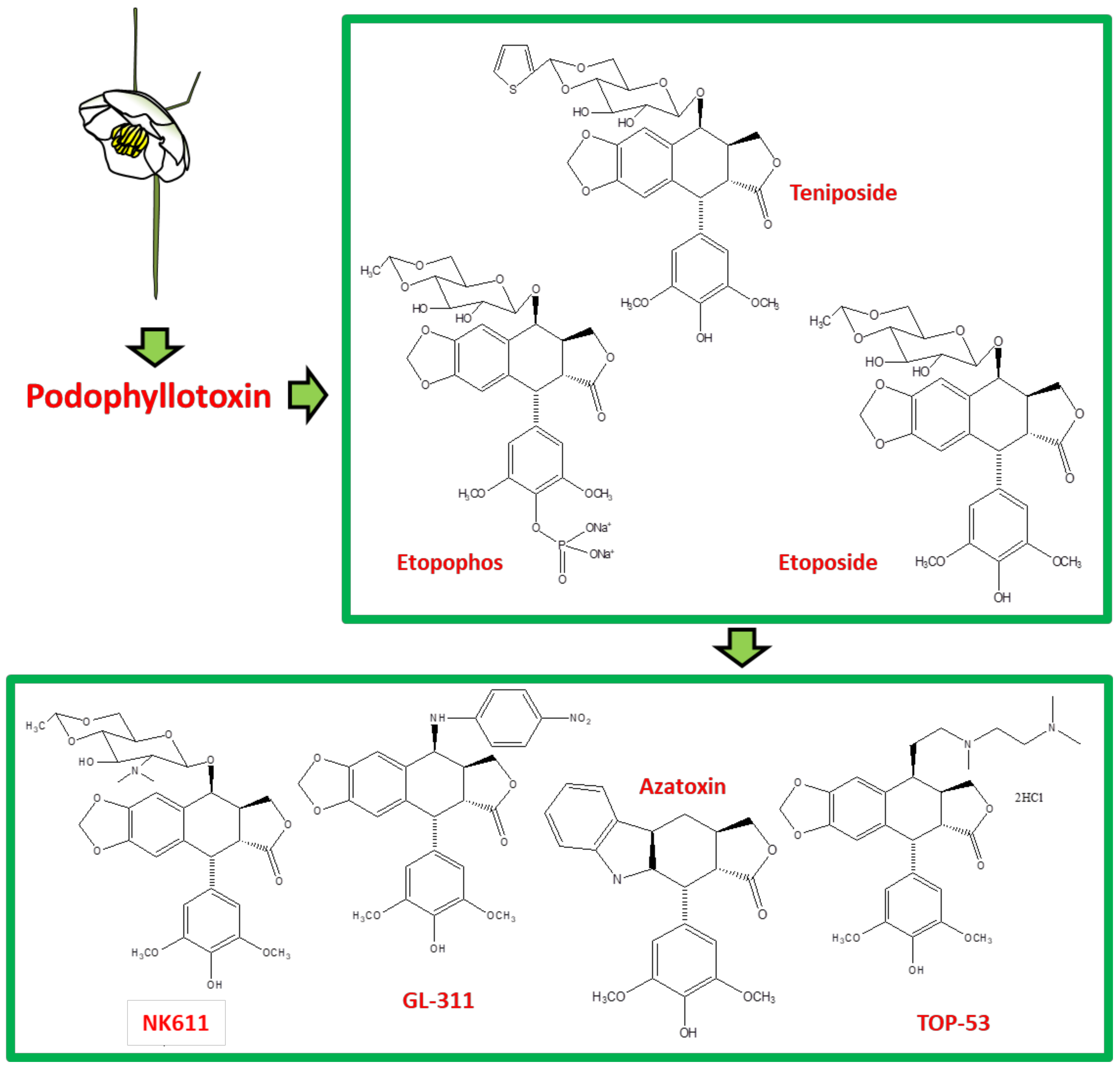 Biomolecules 11 00603 g001
