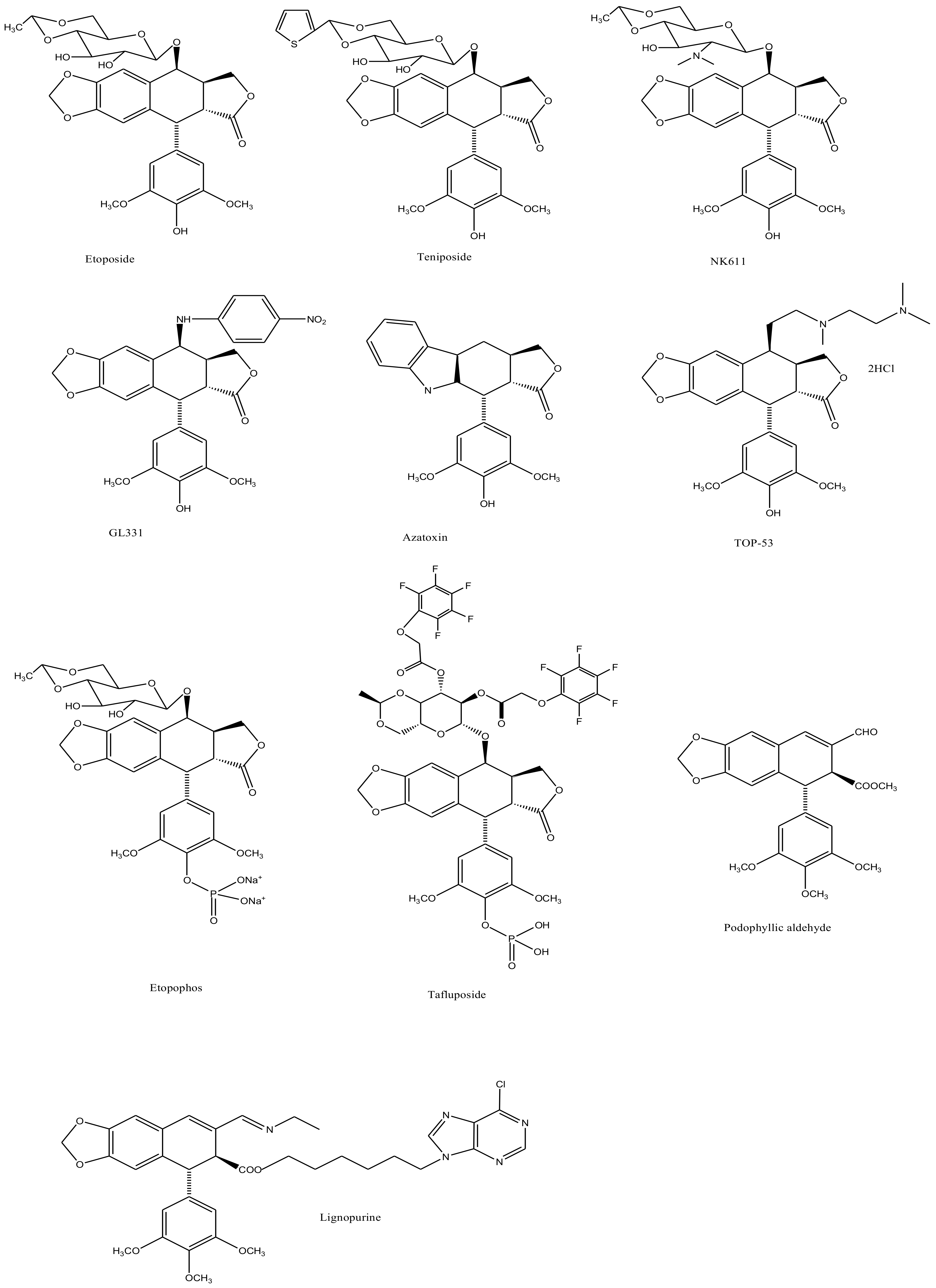 Biomolecules 11 00603 g007