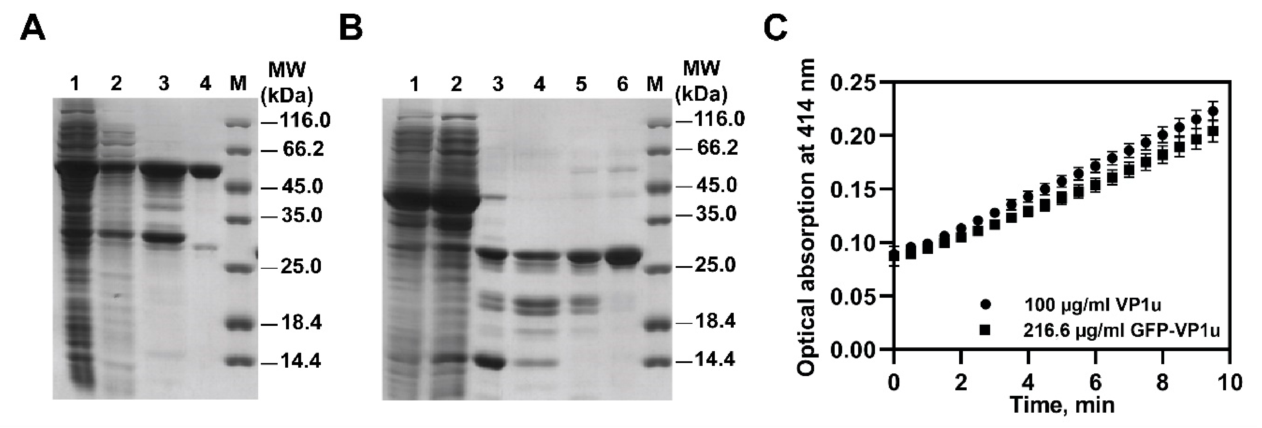 Biomolecules 11 00606 g002 Biomolecules 11 00606 g002