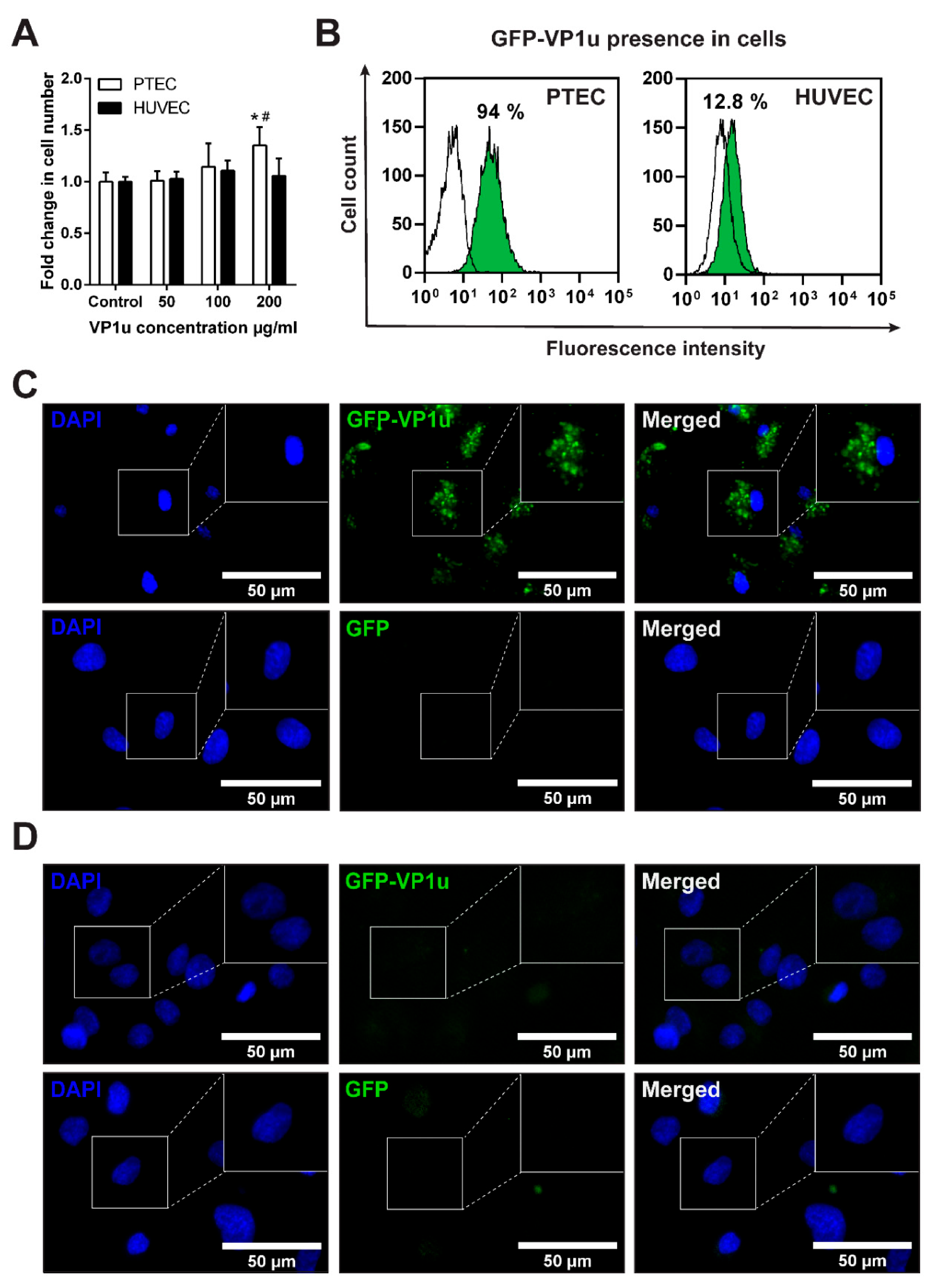 Biomolecules 11 00606 g003 Biomolecules 11 00606 g003