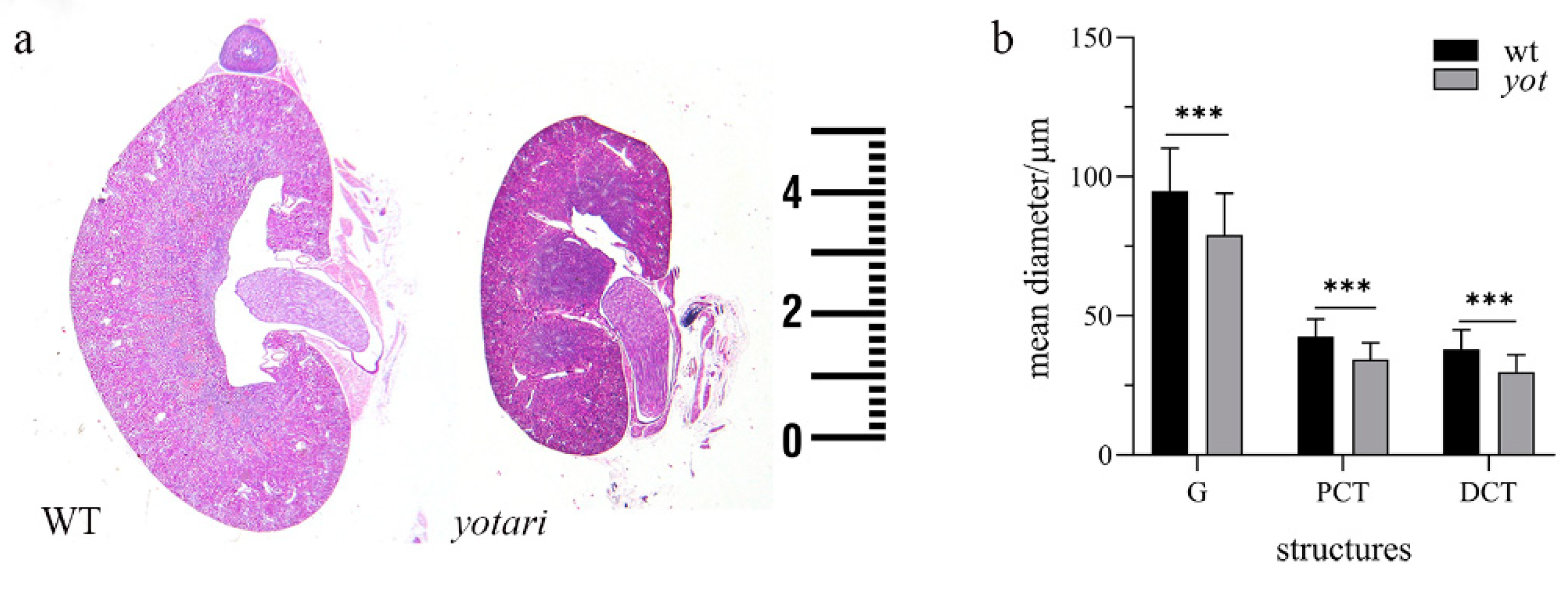 Biomolecules 11 00609 g001