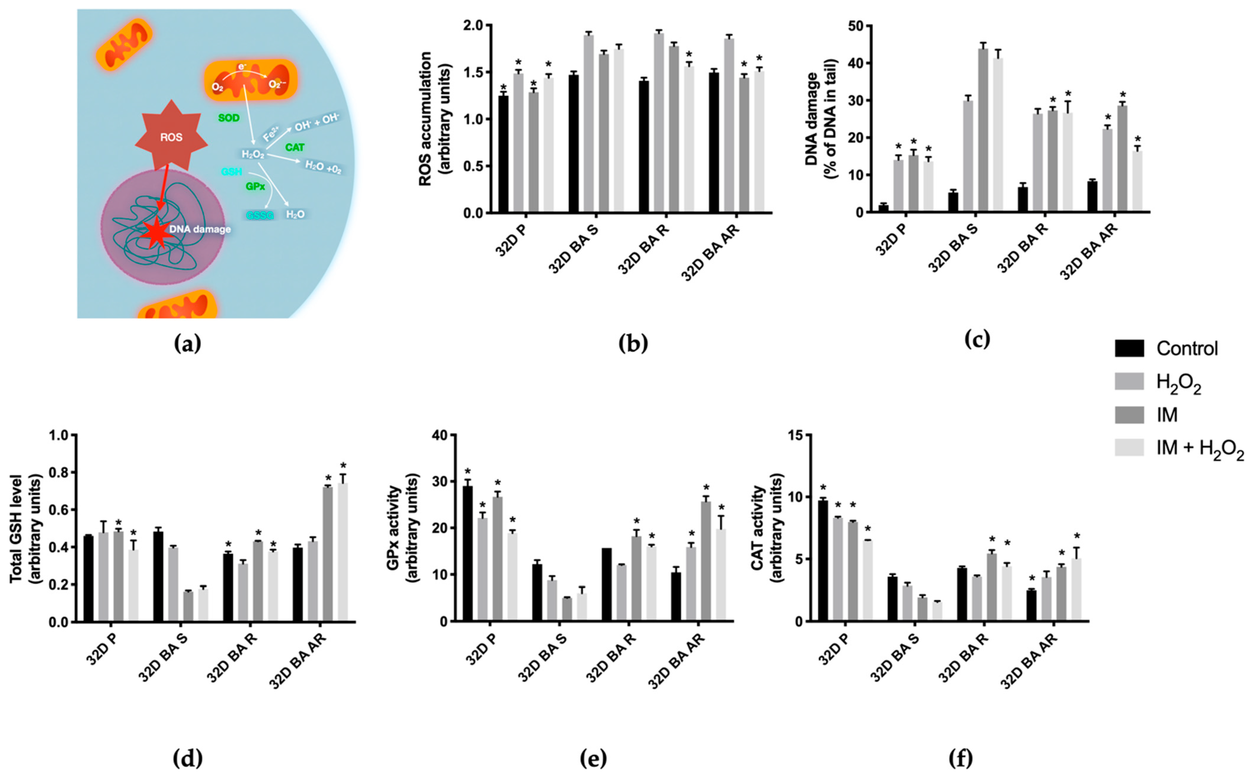 Biomolecules 11 00610 g002 Biomolecules 11 00610 g002