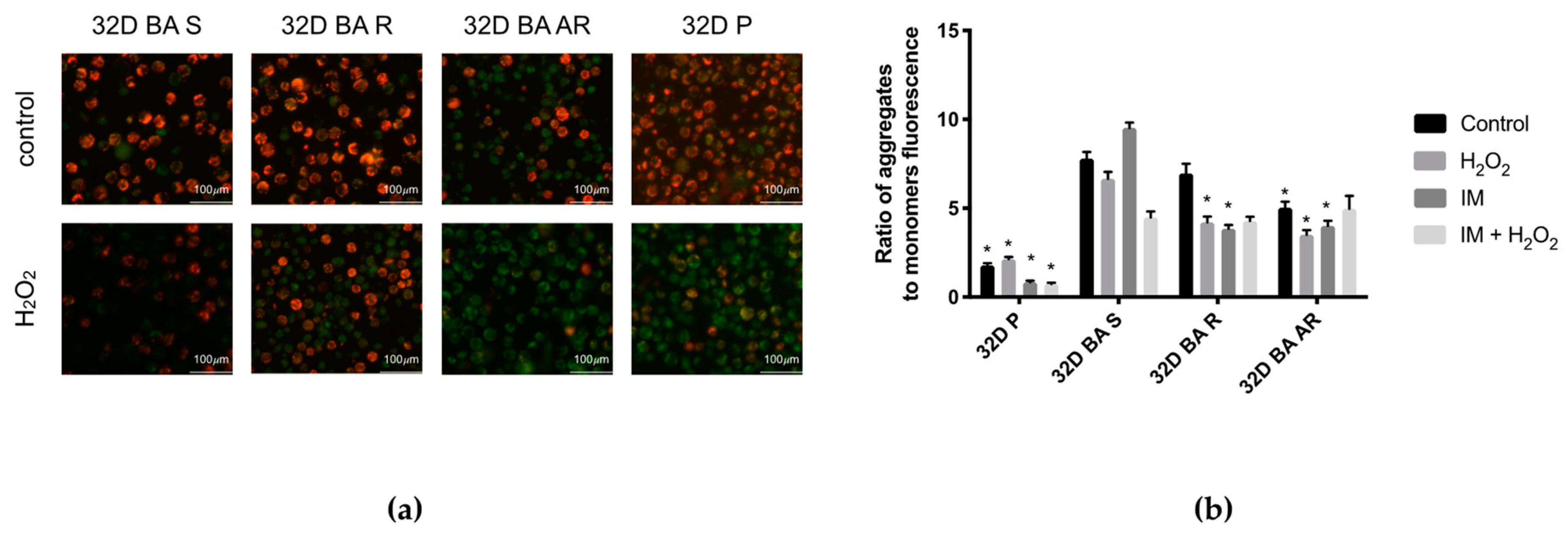 Biomolecules 11 00610 g003 Biomolecules 11 00610 g003