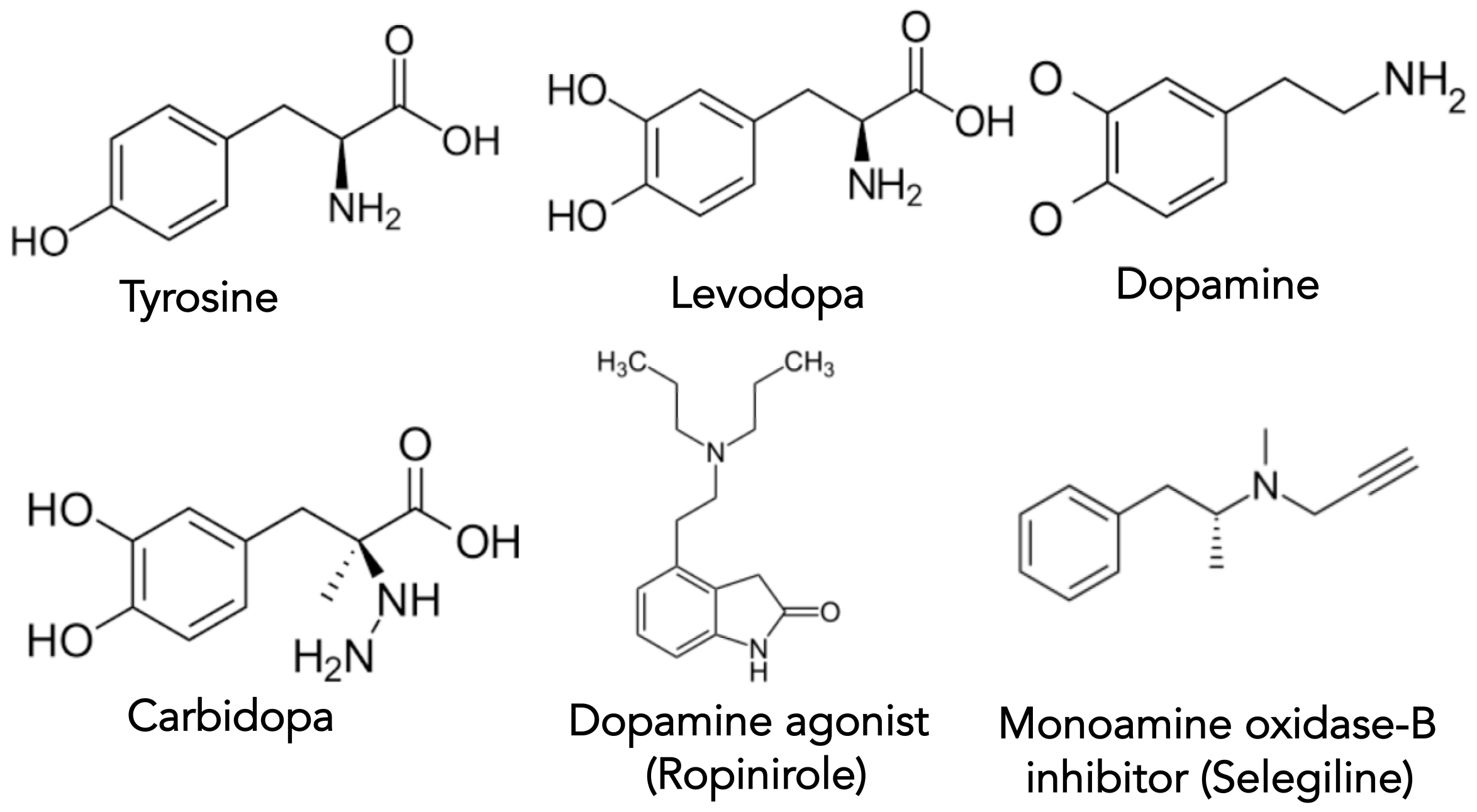 Biomolecules 11 00612 g002
