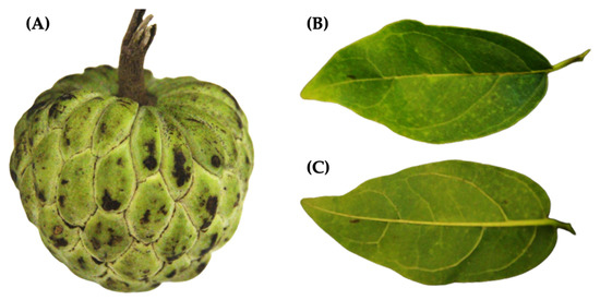 Biomolecules 11 00614 g001 550