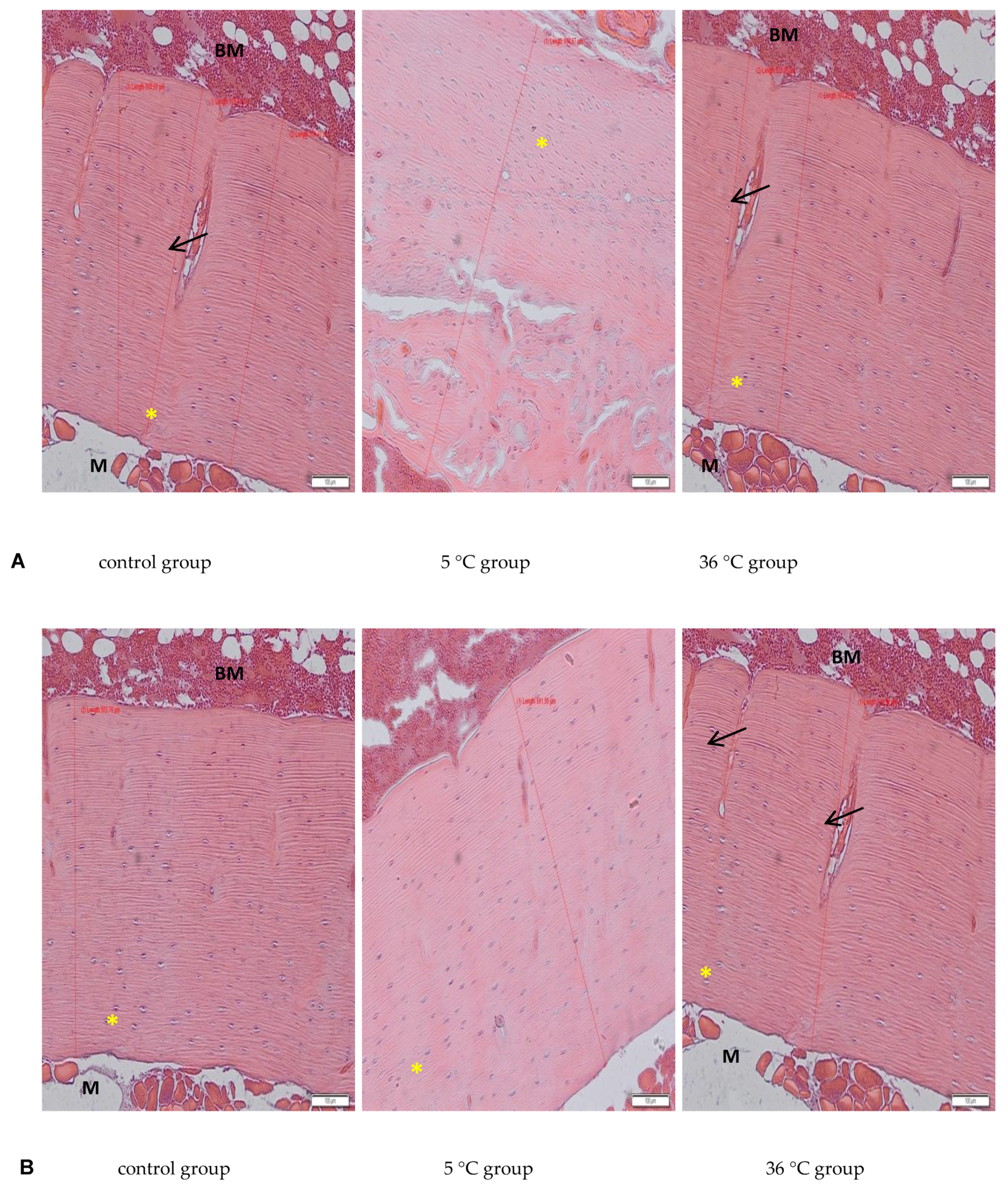 Biomolecules 11 00616 g005