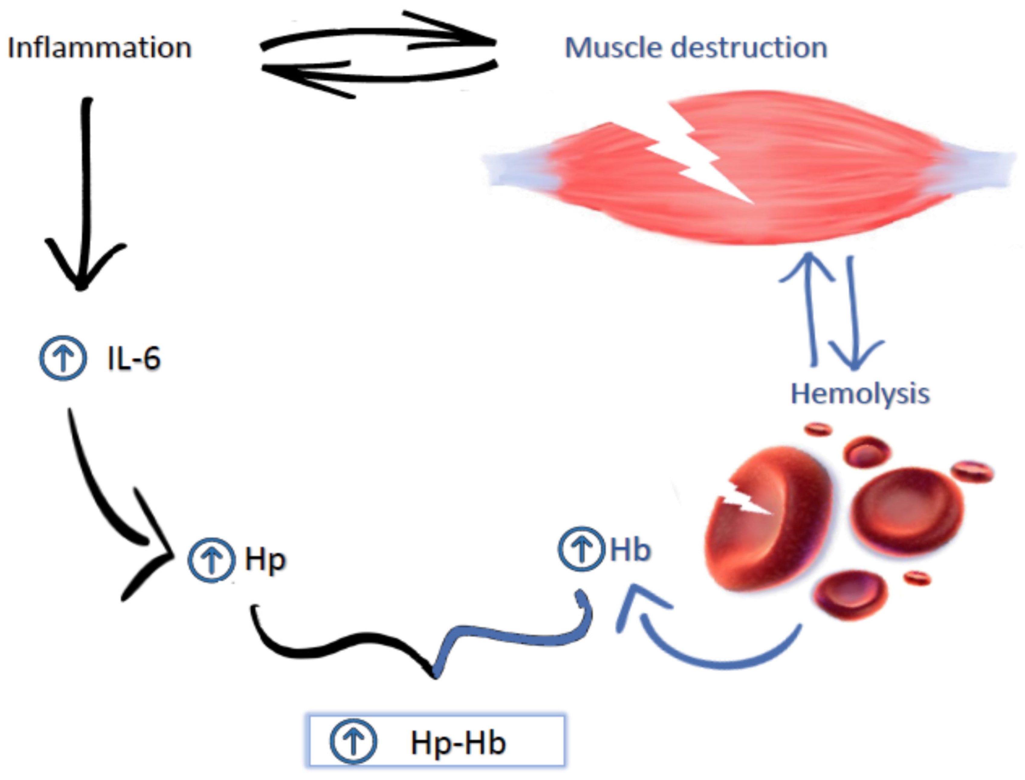 Biomolecules 11 00617 g001 Biomolecules 11 00617 g001