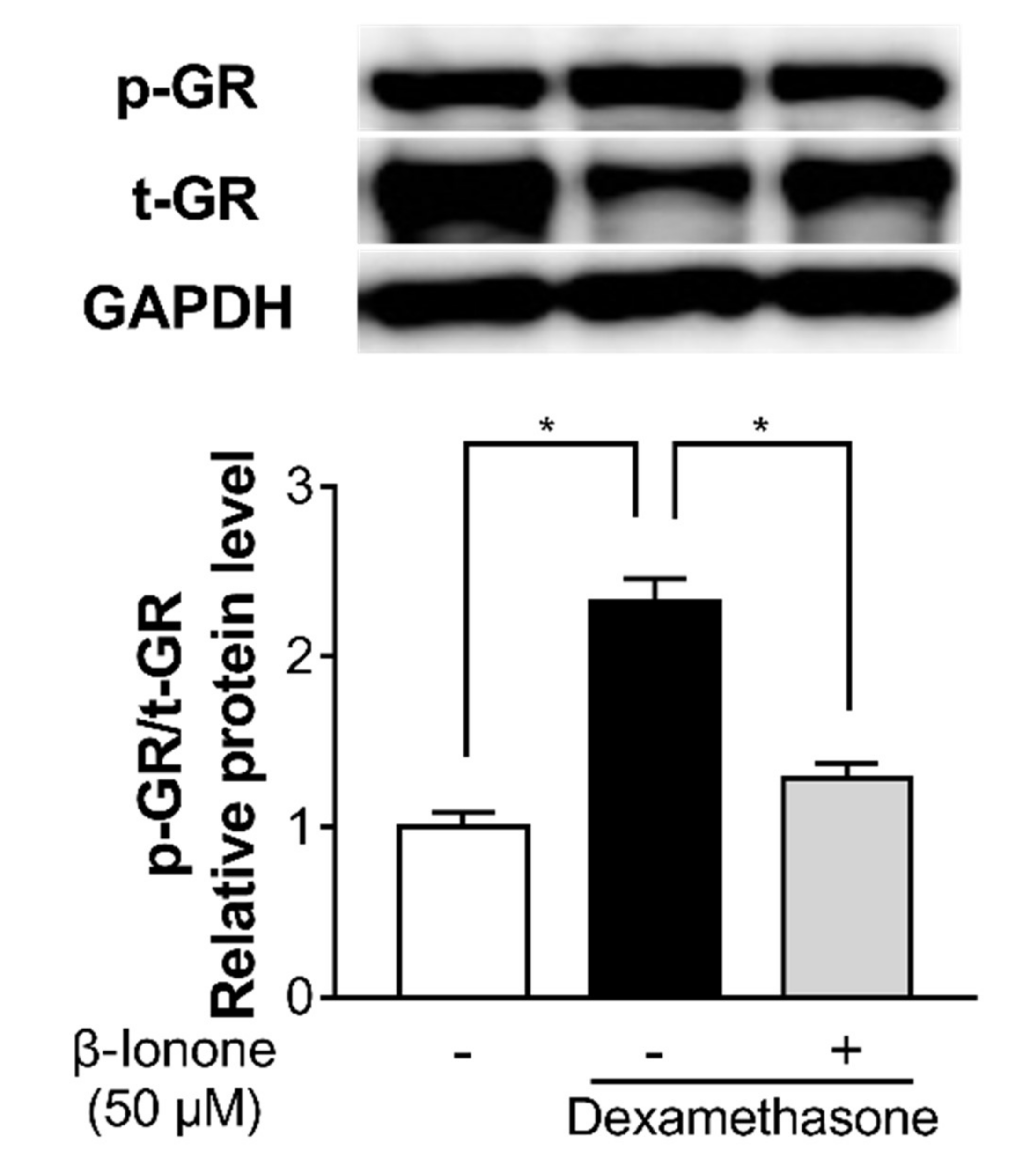Biomolecules 11 00619 g005 Biomolecules 11 00619 g005
