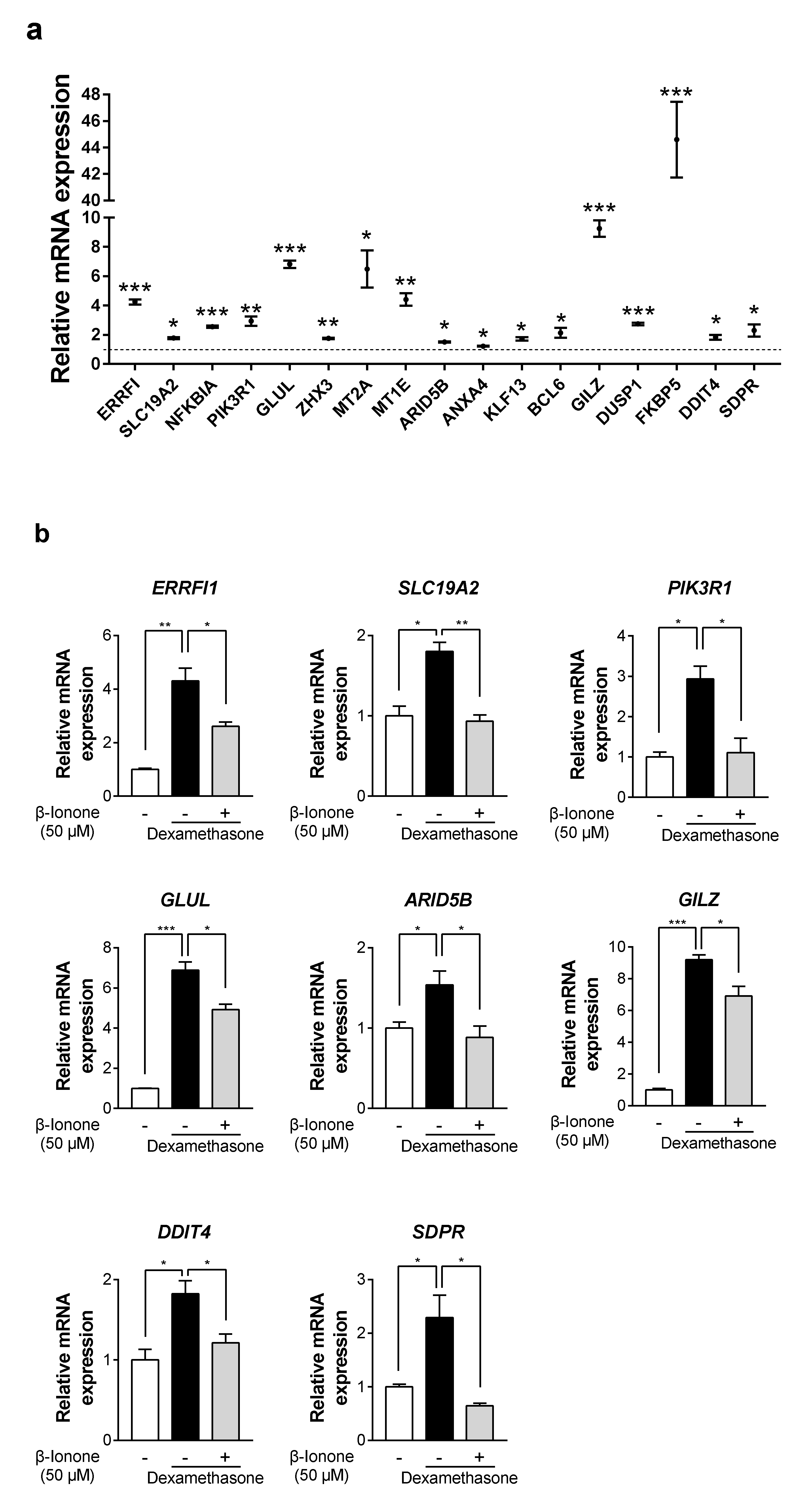 Biomolecules 11 00619 g006 Biomolecules 11 00619 g006