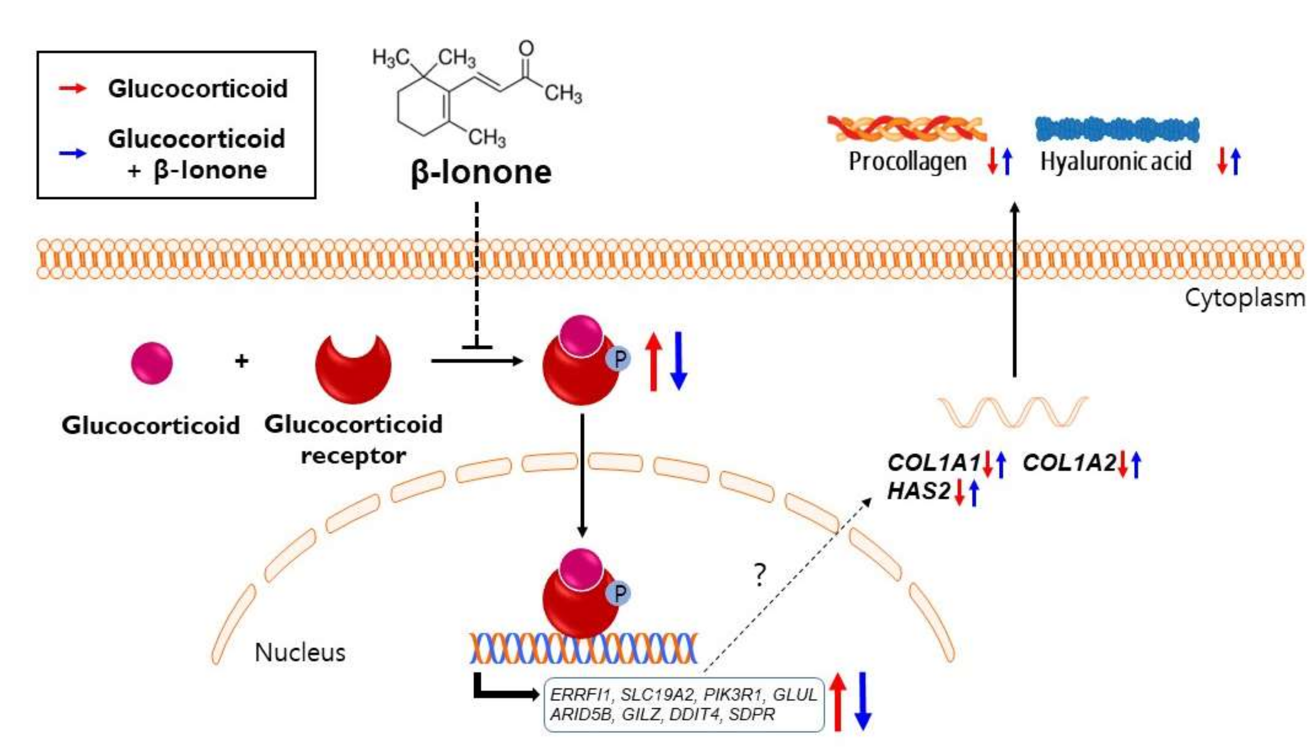 Biomolecules 11 00619 g007 Biomolecules 11 00619 g007
