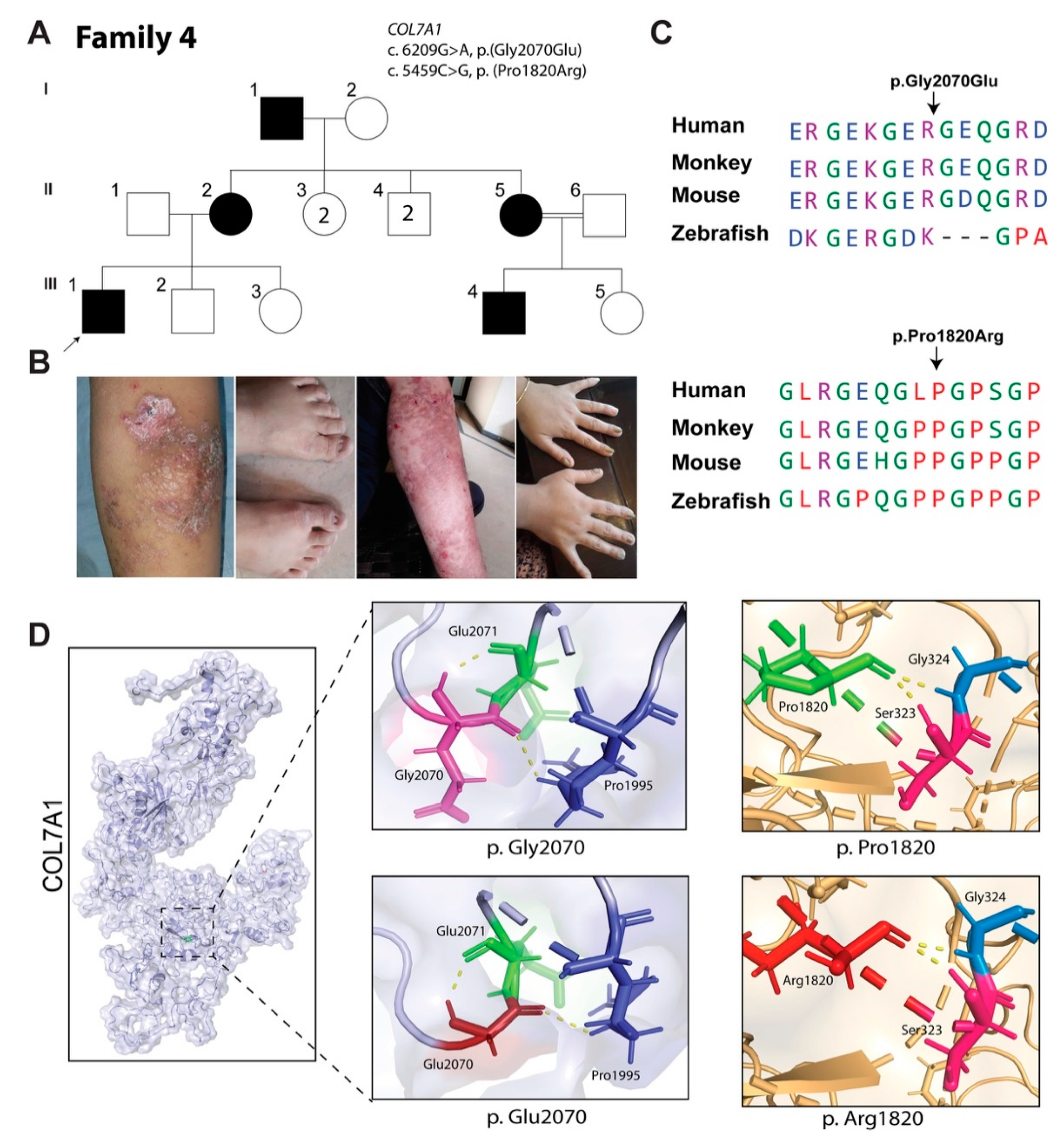 Biomolecules 11 00620 g003 Biomolecules 11 00620 g003