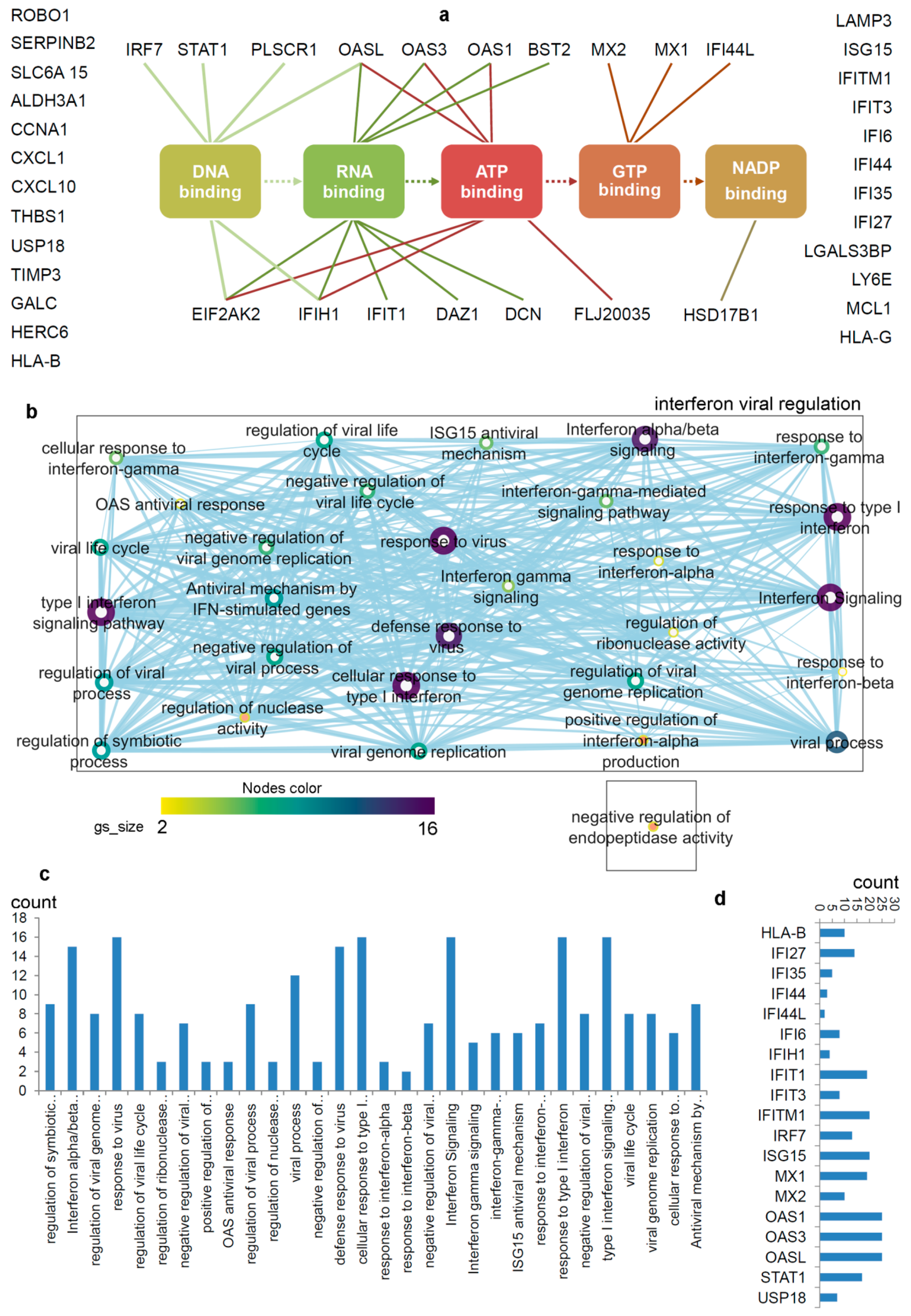 Biomolecules 11 00622 g002 Biomolecules 11 00622 g002