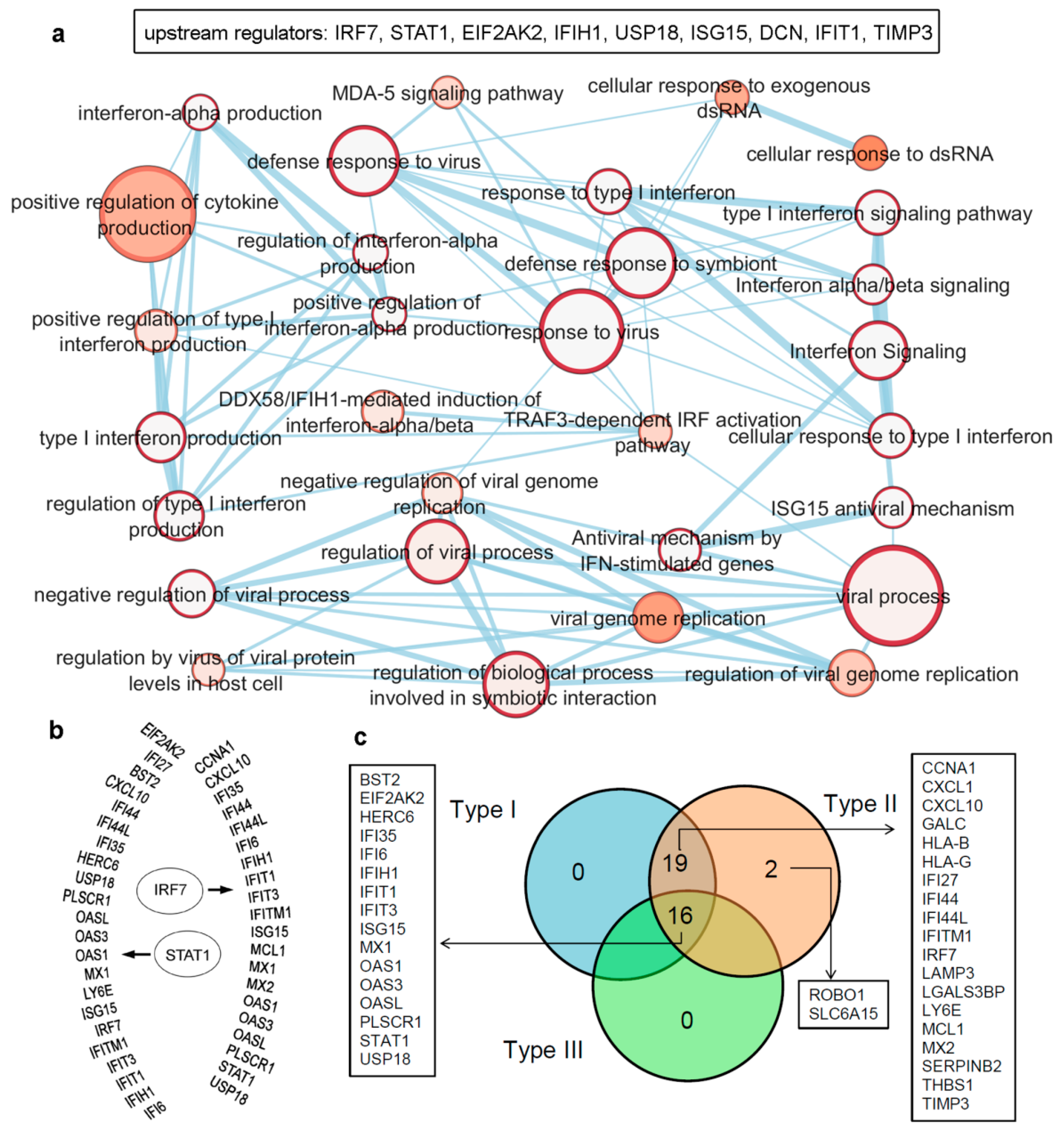 Biomolecules 11 00622 g003 Biomolecules 11 00622 g003