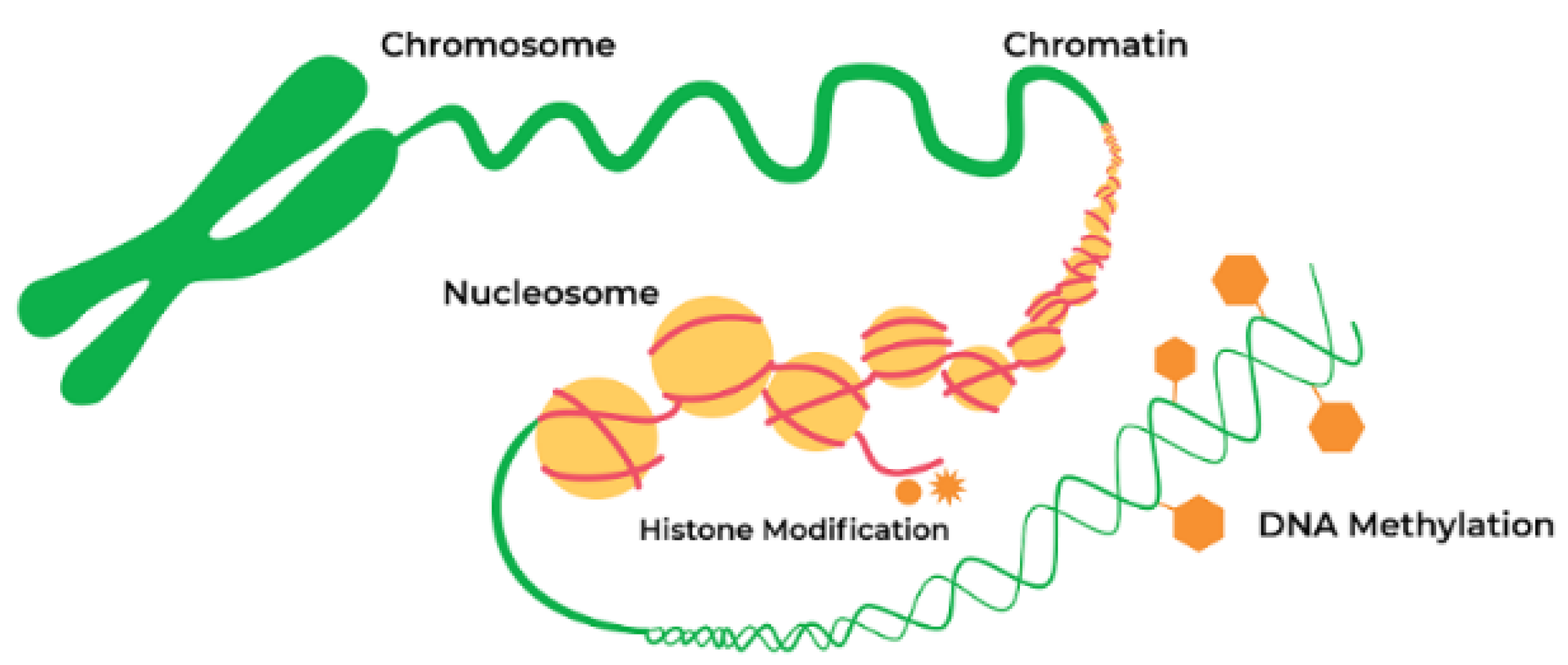 Biomolecules 11 00624 g002
