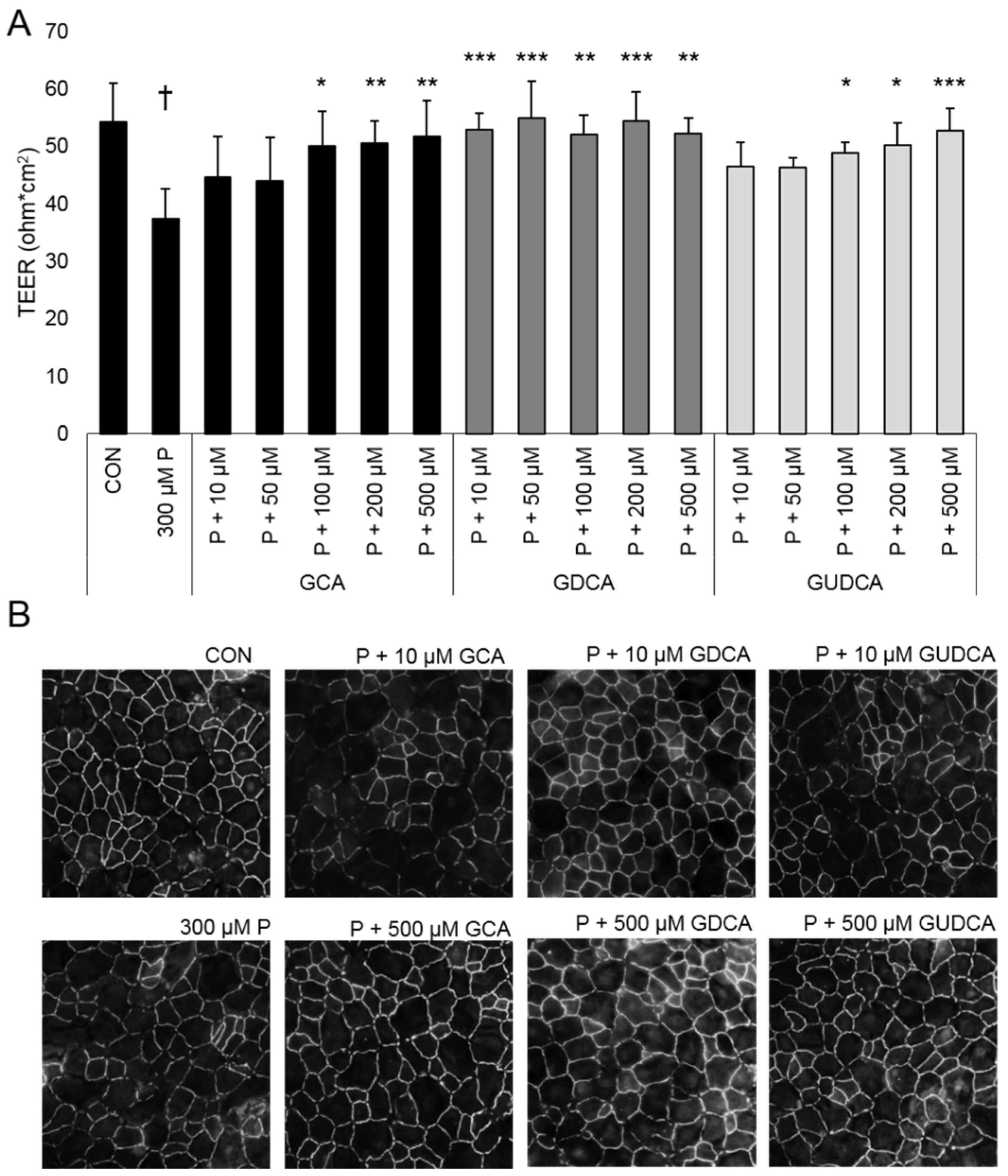 Biomolecules 11 00626 g001 Biomolecules 11 00626 g001