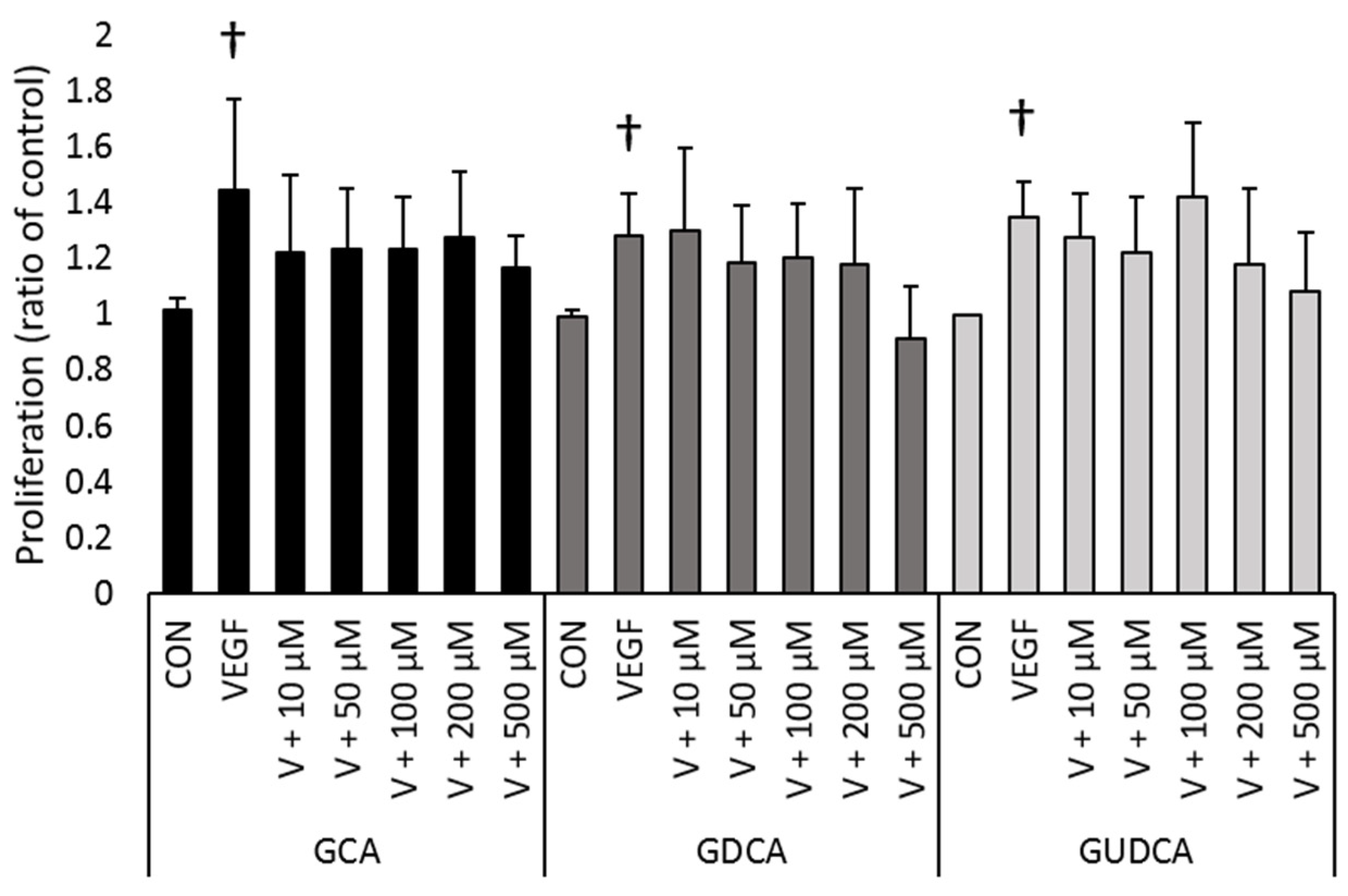 Biomolecules 11 00626 g002 Biomolecules 11 00626 g002
