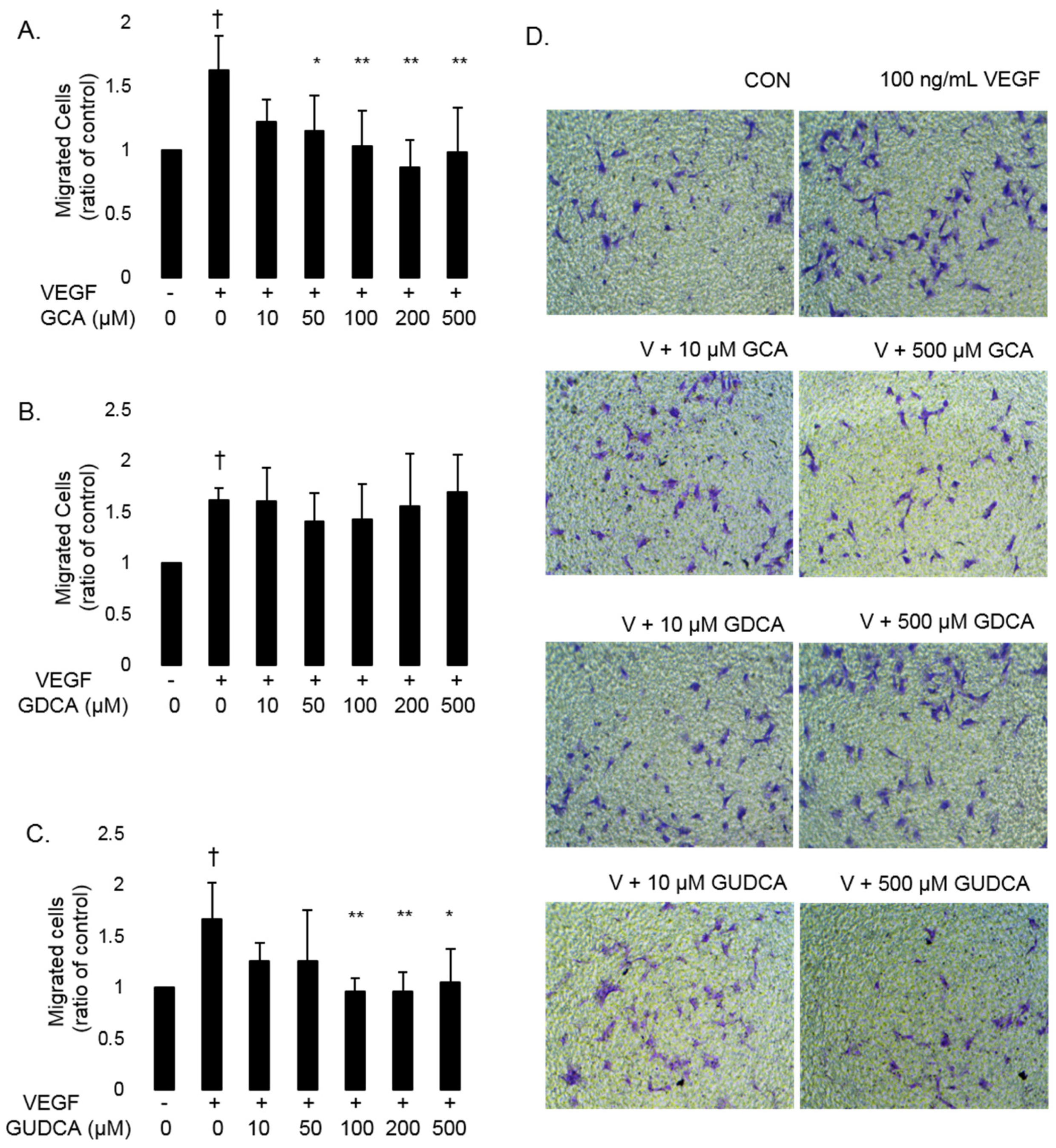 Biomolecules 11 00626 g003 Biomolecules 11 00626 g003