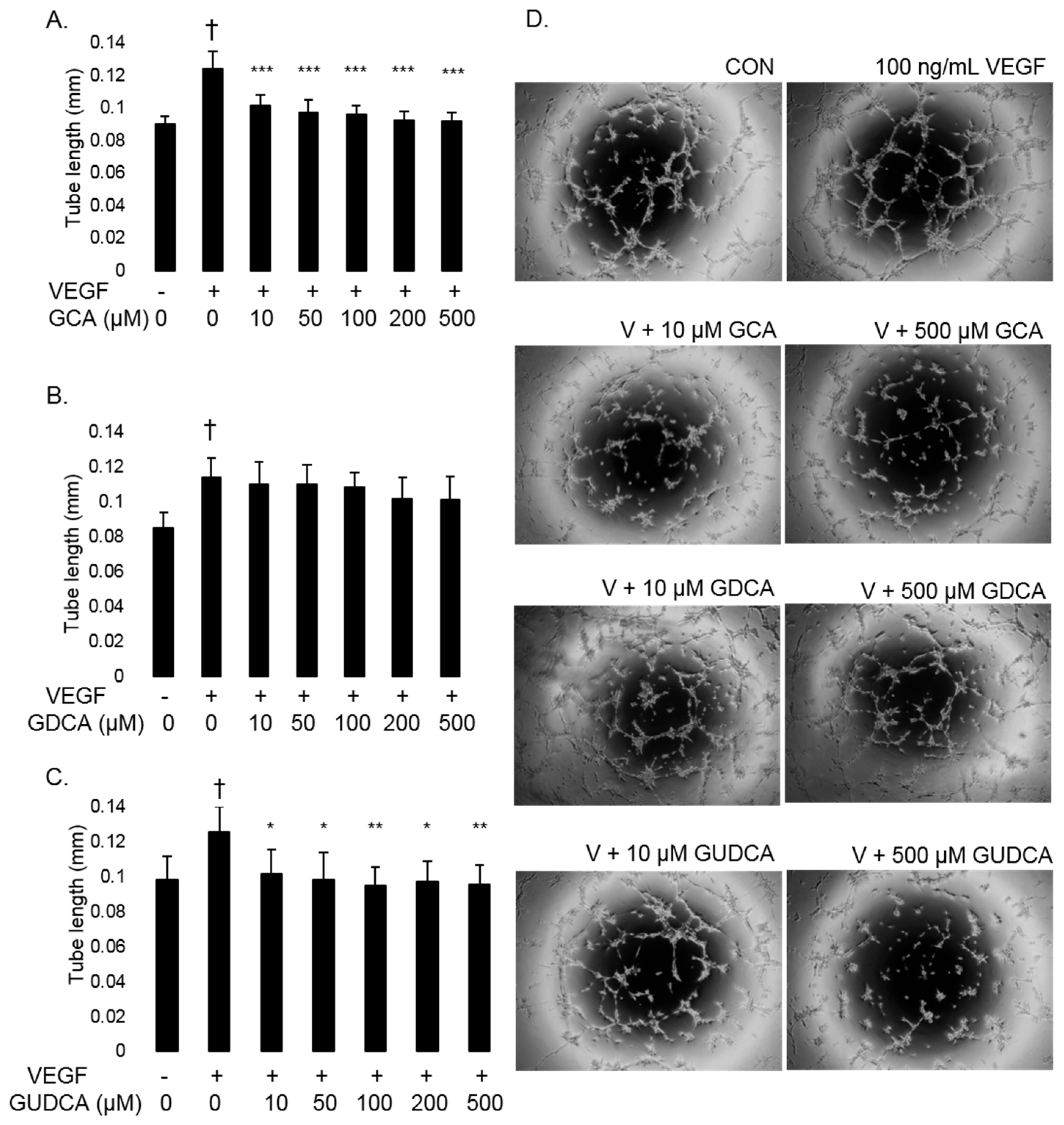 Biomolecules 11 00626 g004 Biomolecules 11 00626 g004