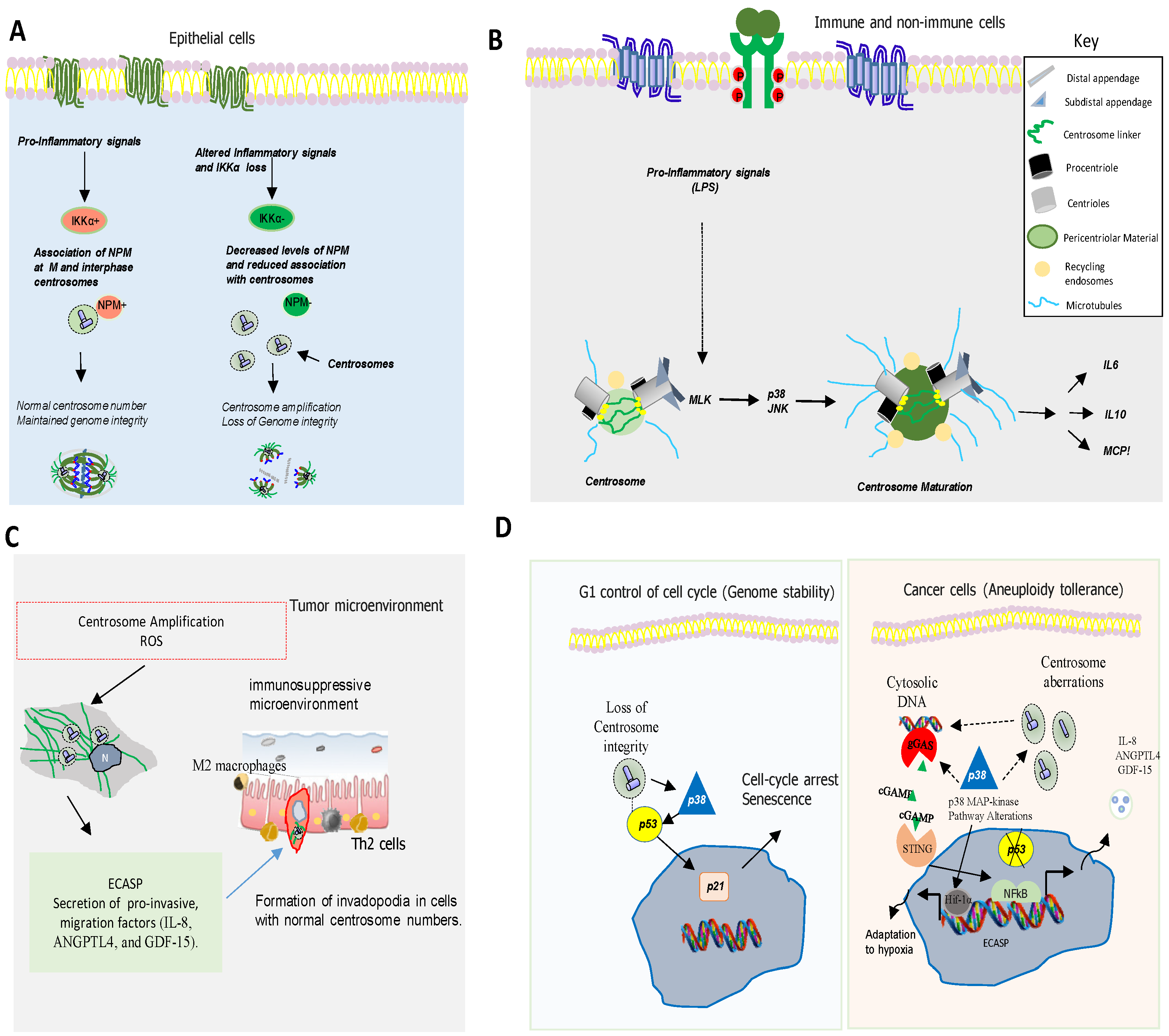 Biomolecules 11 00629 g003