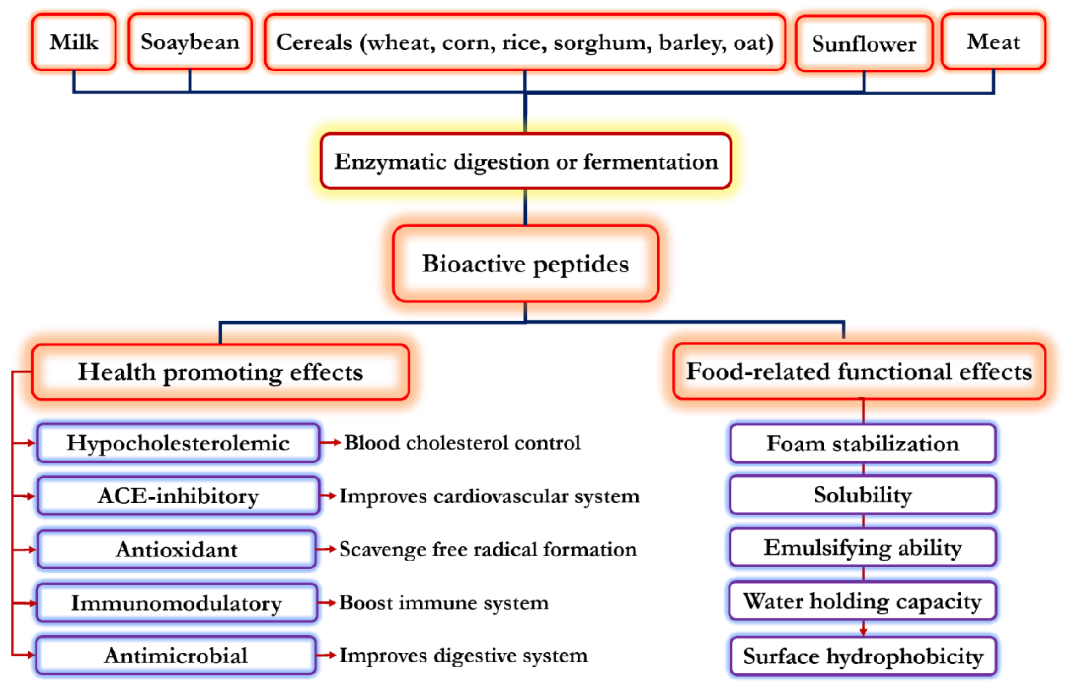Biomolecules 11 00631 g001 Biomolecules 11 00631 g001