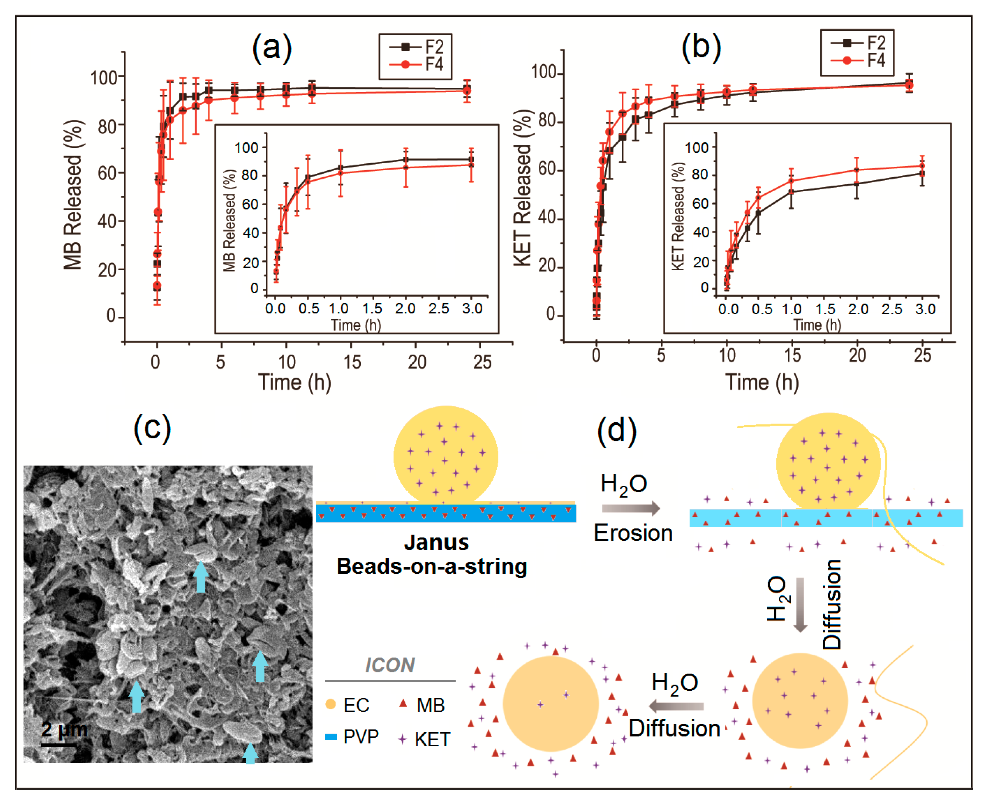 Biomolecules 11 00635 g006 Biomolecules 11 00635 g006