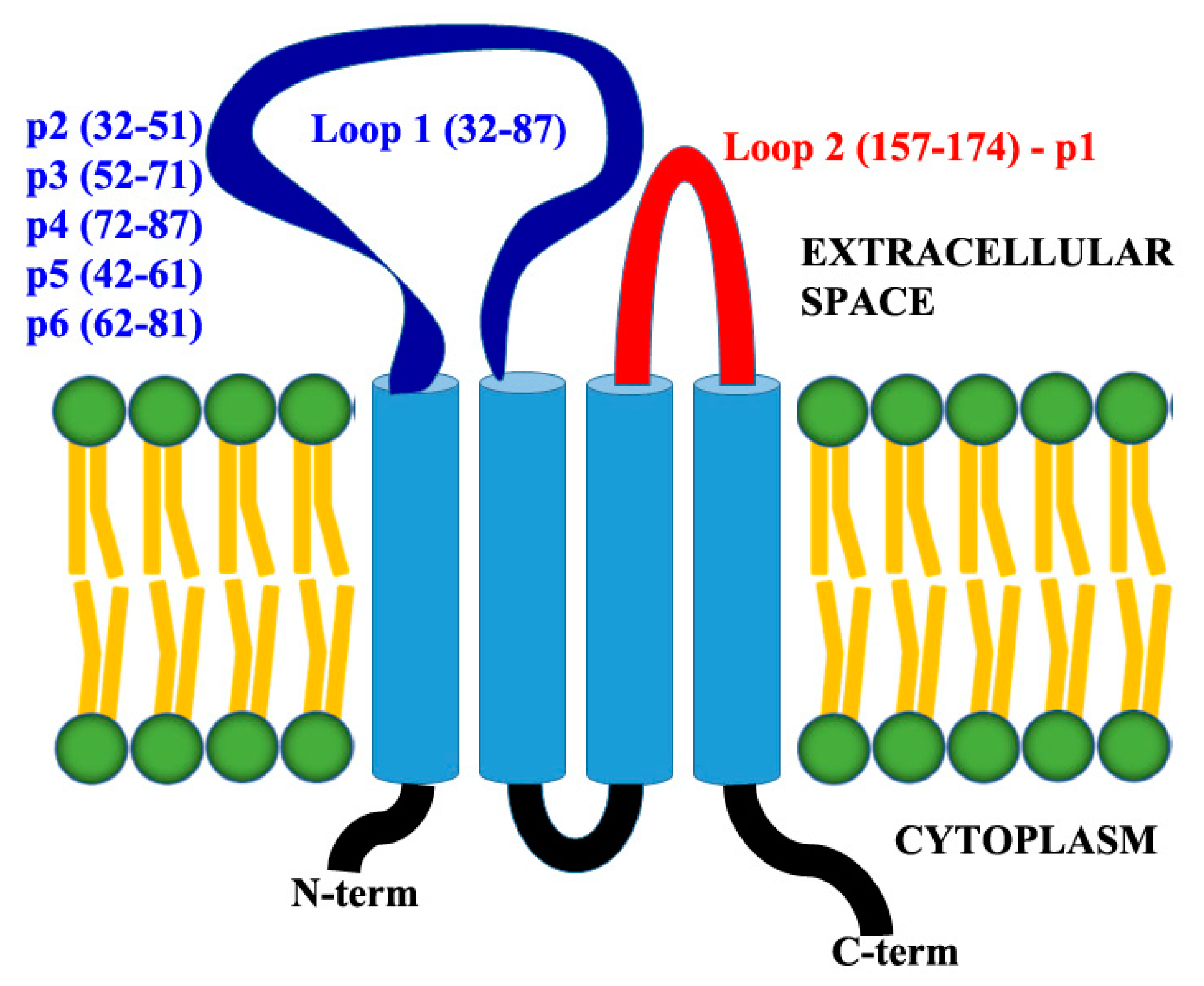 Biomolecules 11 00636 g001