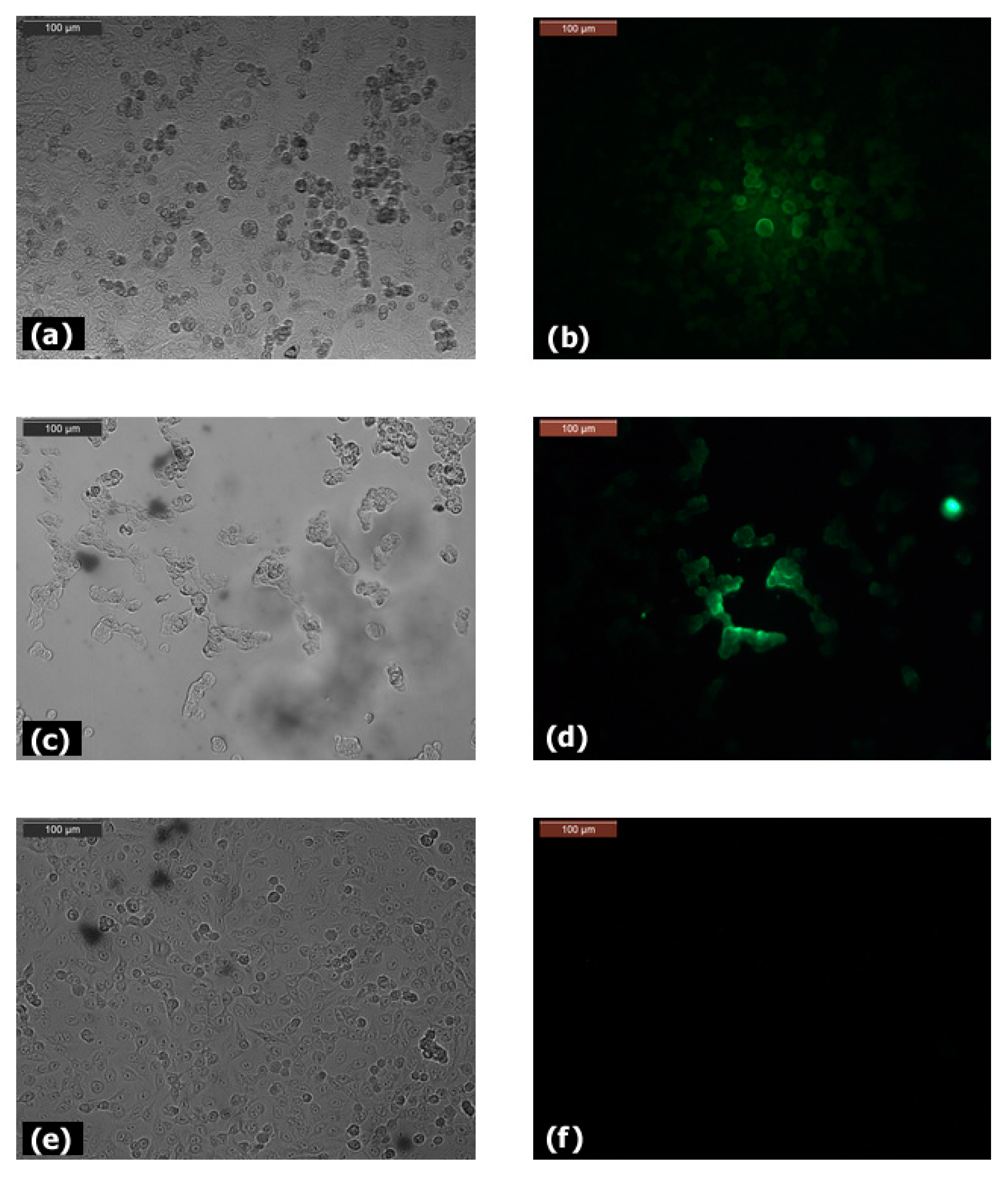 Biomolecules 11 00636 g002