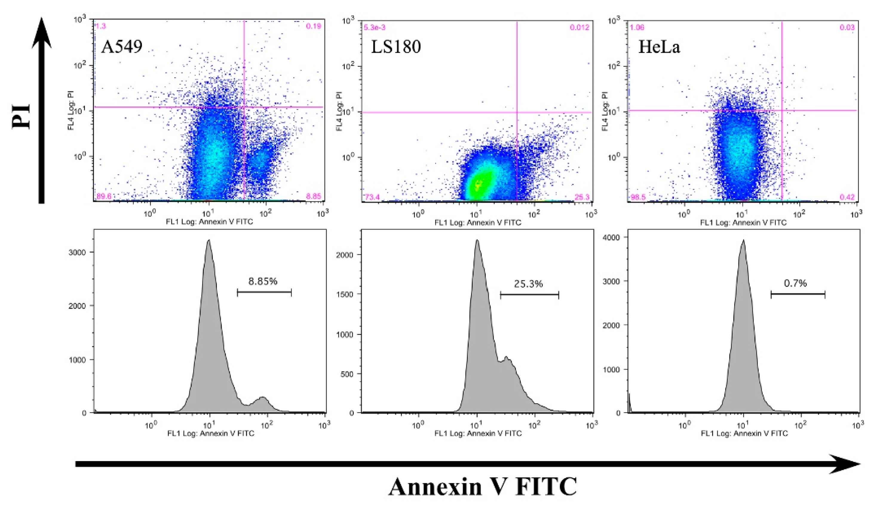 Biomolecules 11 00636 g006