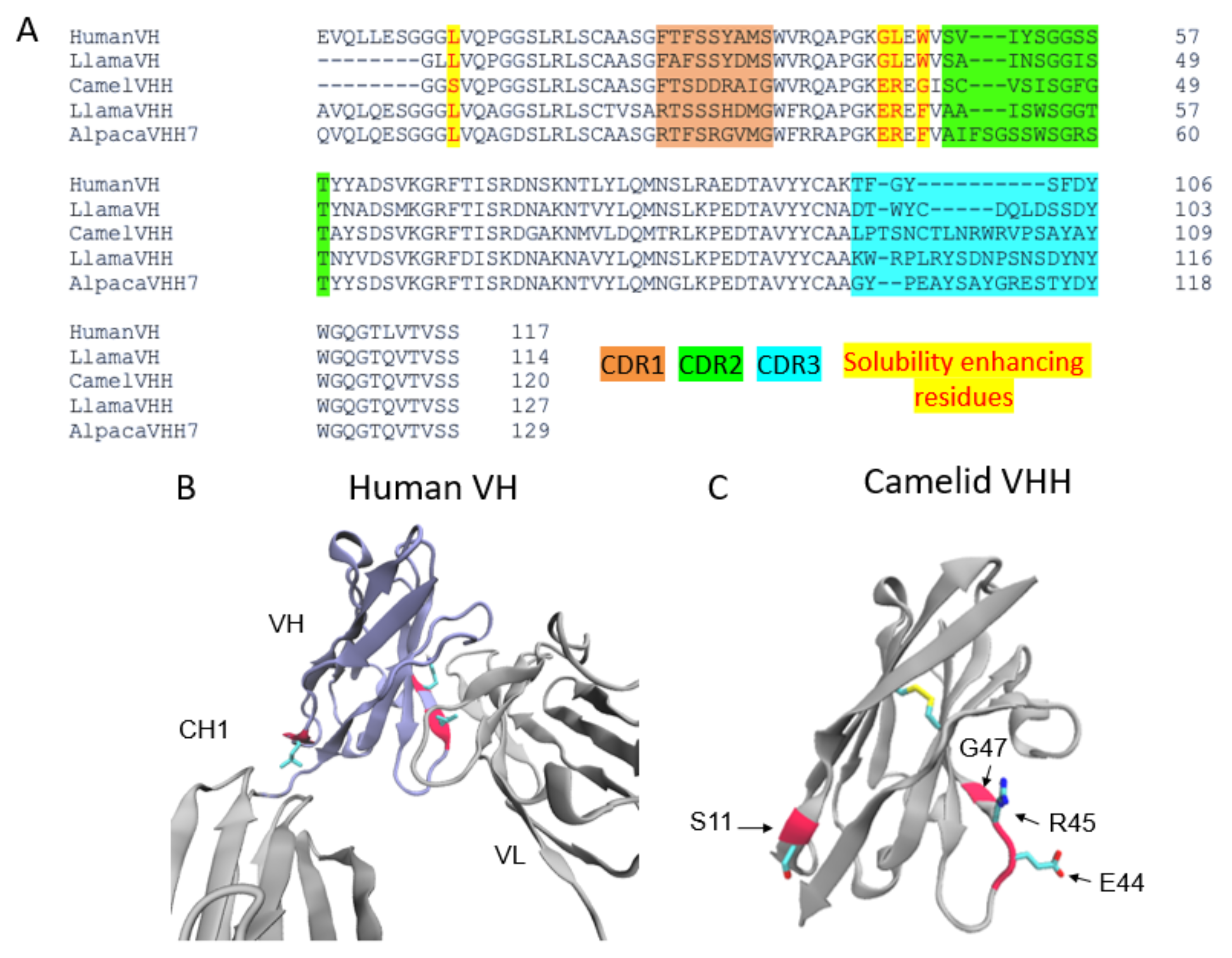 Biomolecules 11 00637 g002 Biomolecules 11 00637 g002