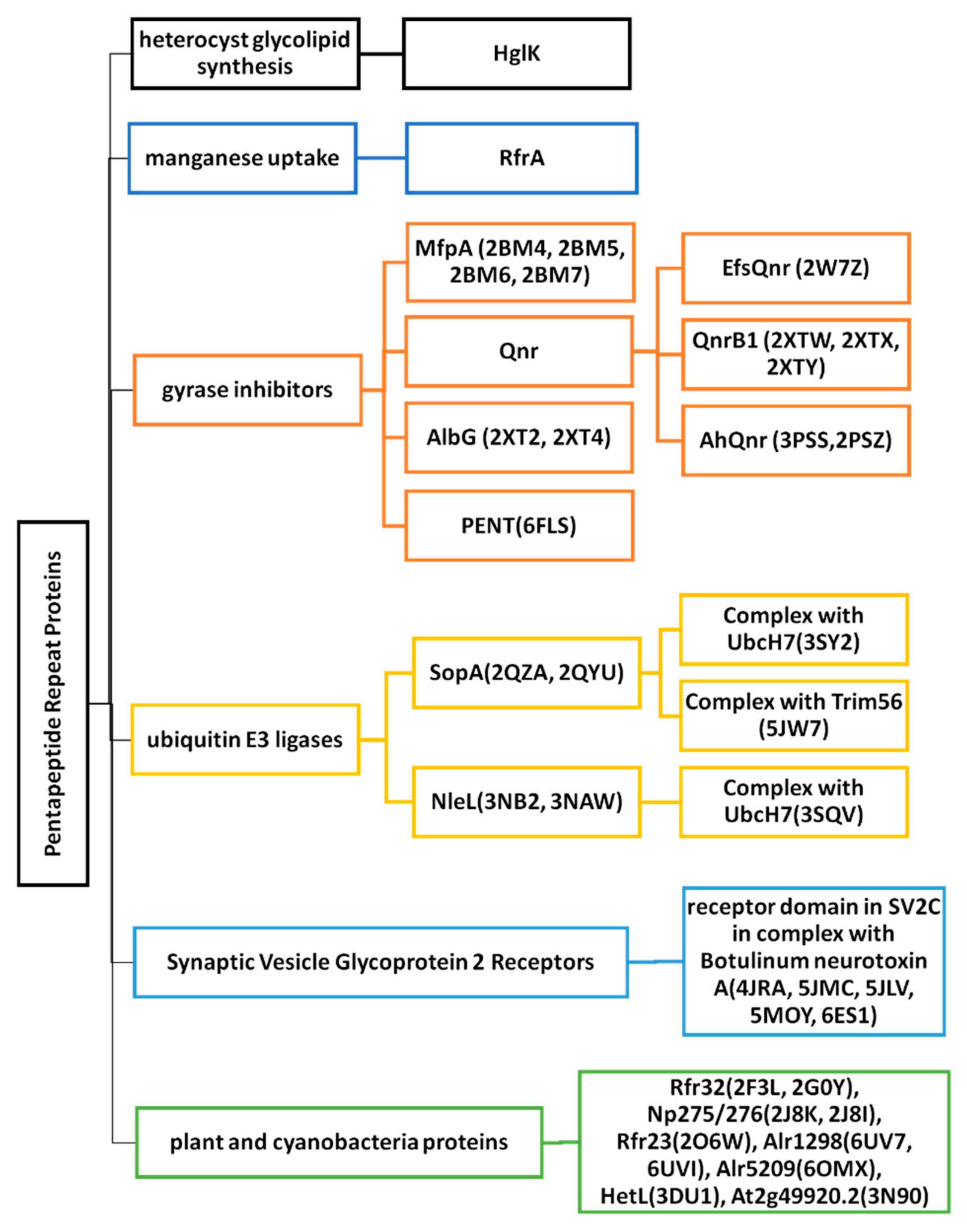 Biomolecules 11 00638 g003