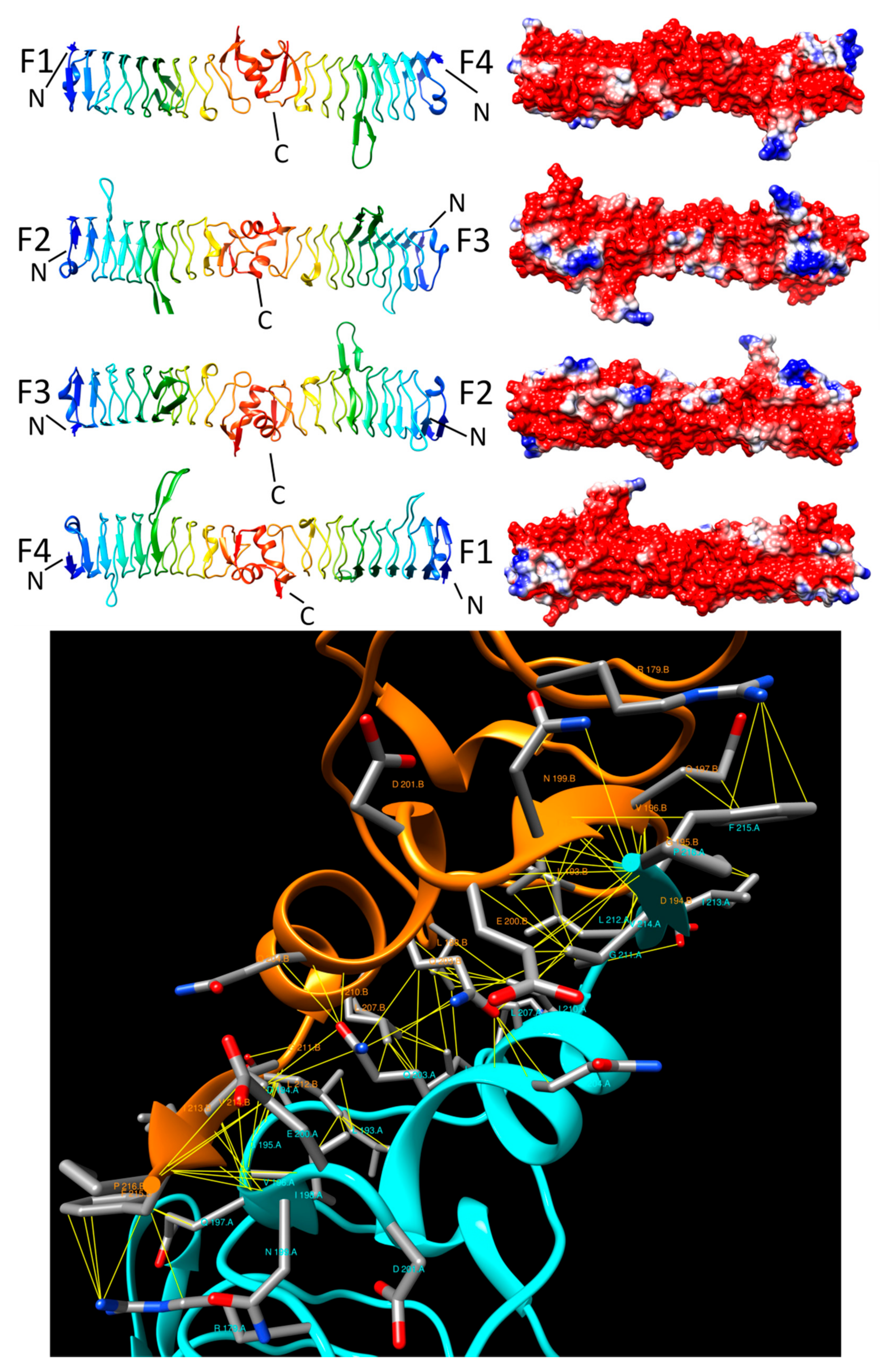 Biomolecules 11 00638 g007