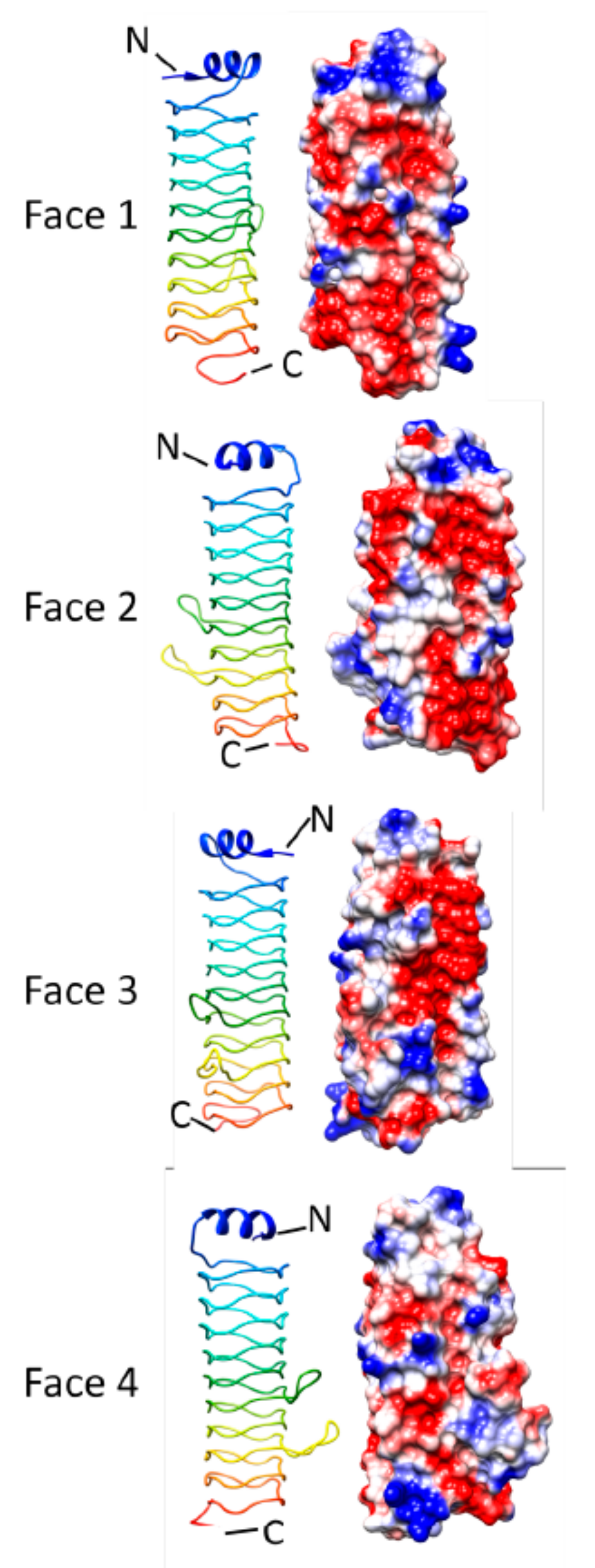Biomolecules 11 00638 g013