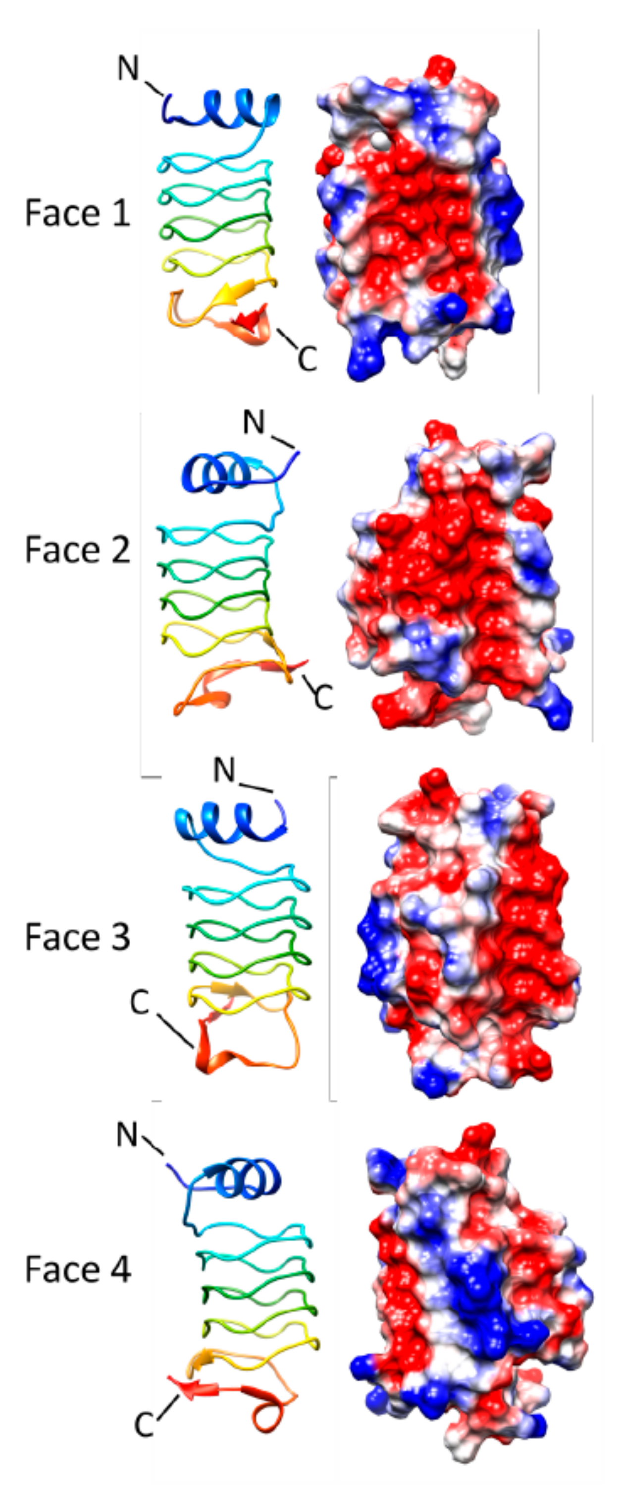Biomolecules 11 00638 g015