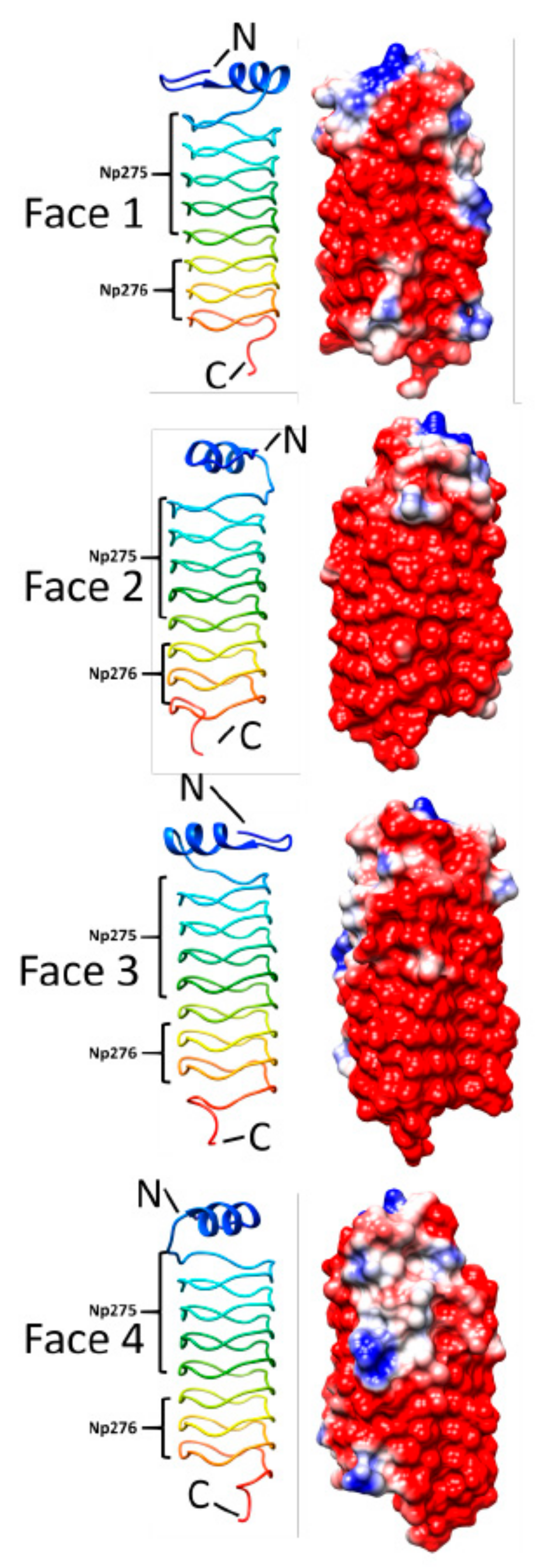 Biomolecules 11 00638 g016