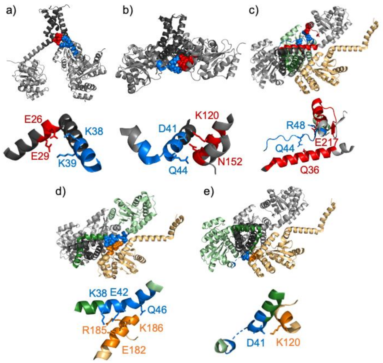 Biomolecules 11 00642 g001