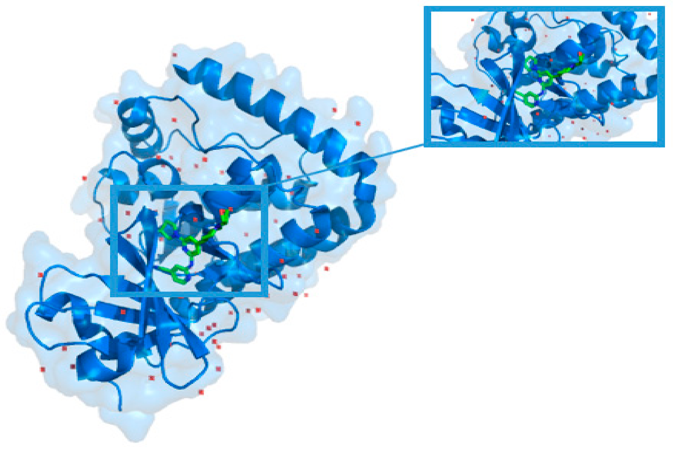 Biomolecules 11 00643 g005
