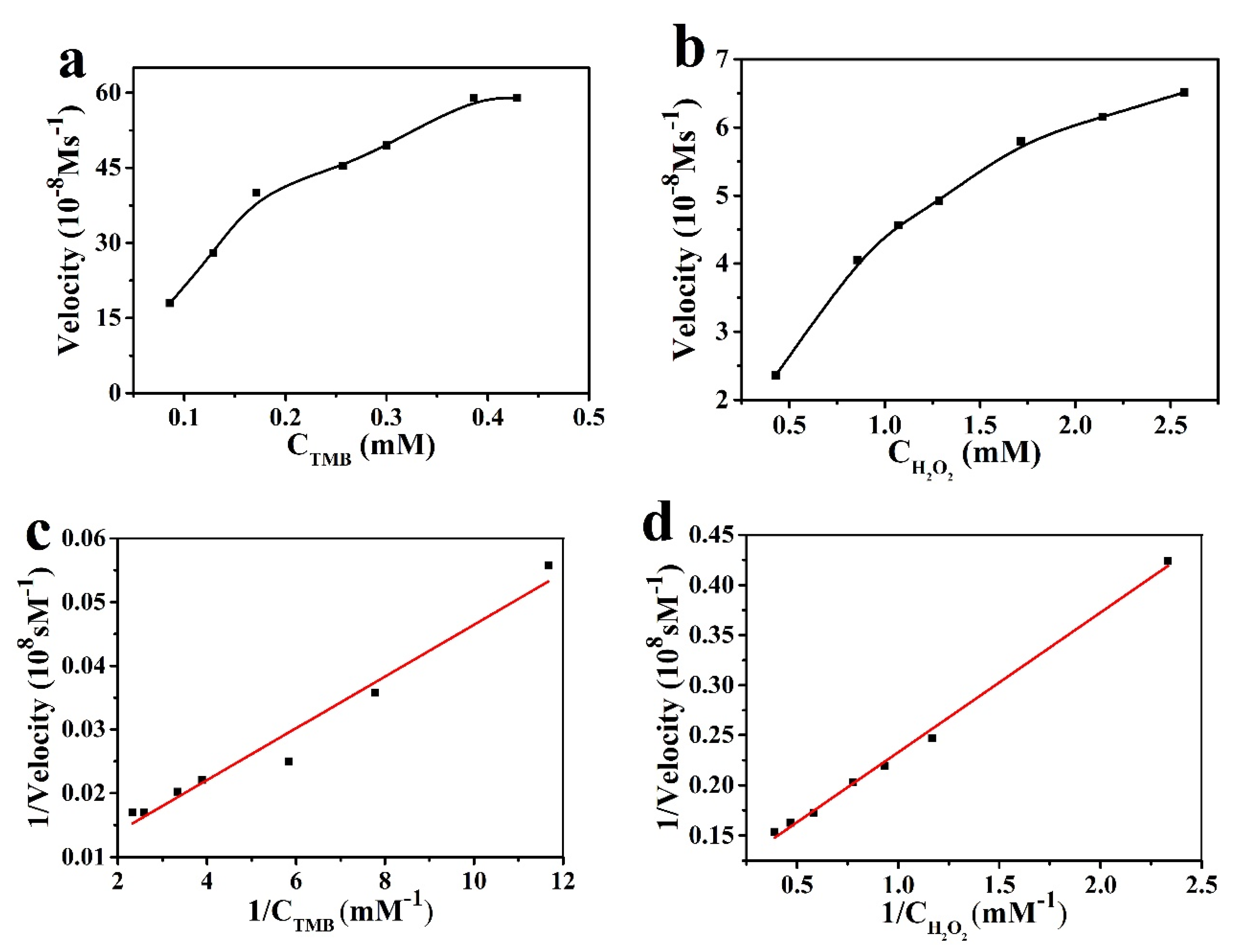 Biomolecules 11 00647 g005 Biomolecules 11 00647 g005