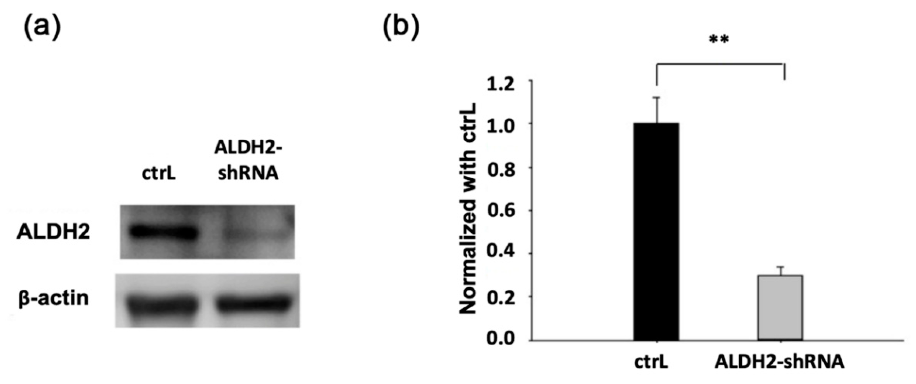 Biomolecules 11 00651 g001 Biomolecules 11 00651 g001