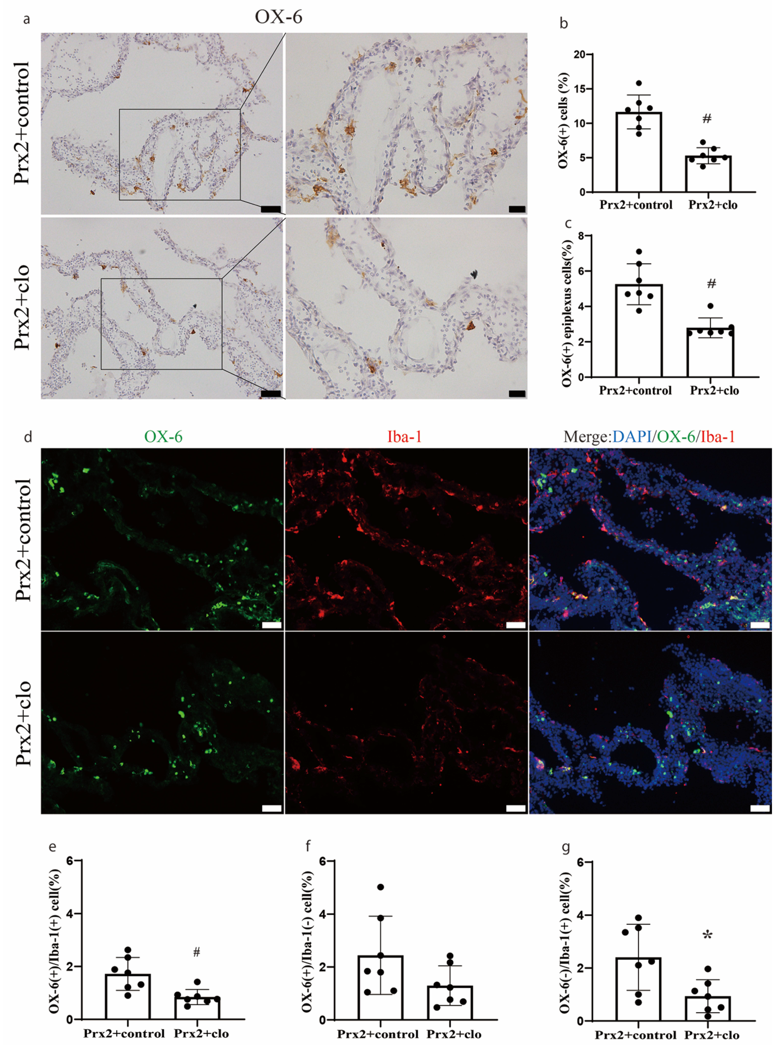 Biomolecules 11 00654 g003