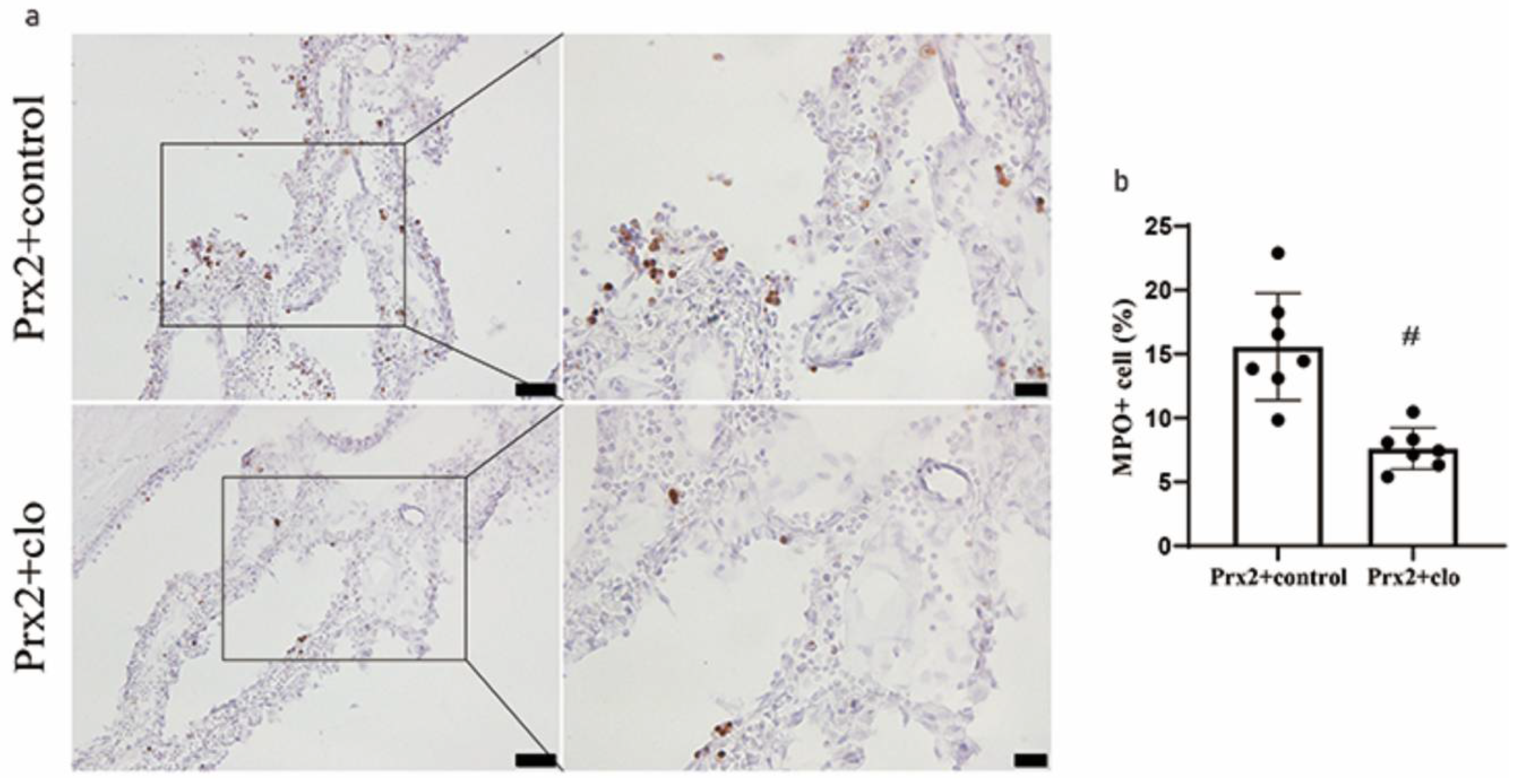 Biomolecules 11 00654 g004