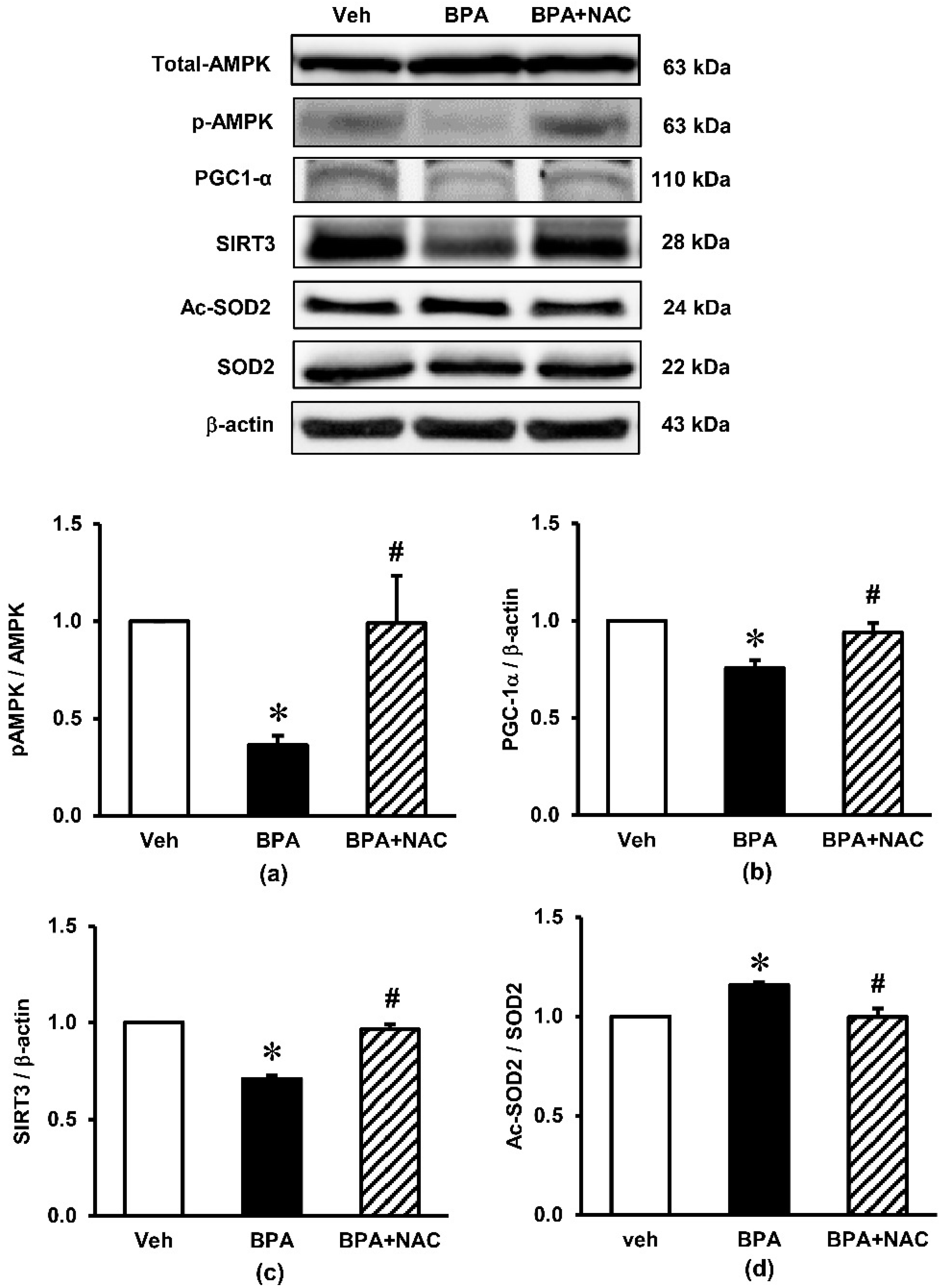 Biomolecules 11 00655 g006