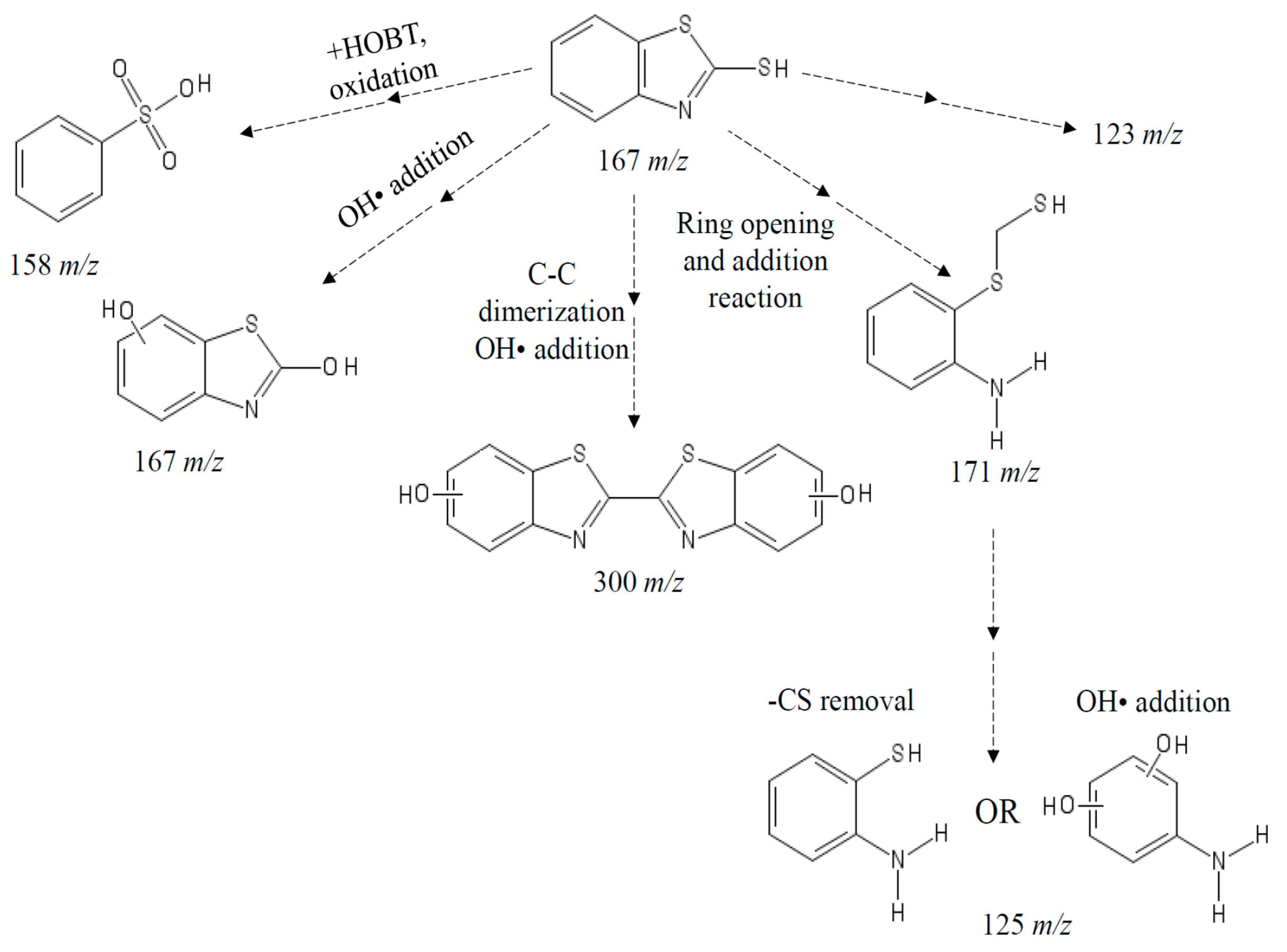 Biomolecules 11 00656 g007