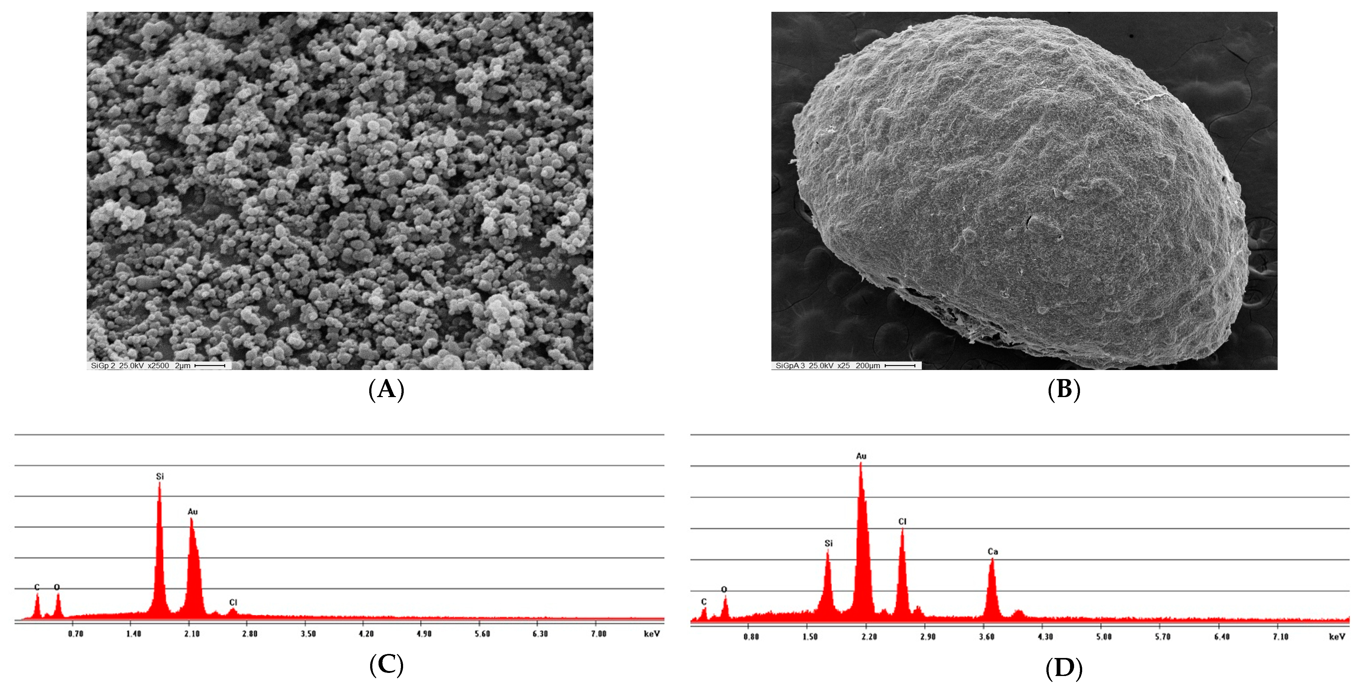 Biomolecules 11 00657 g006