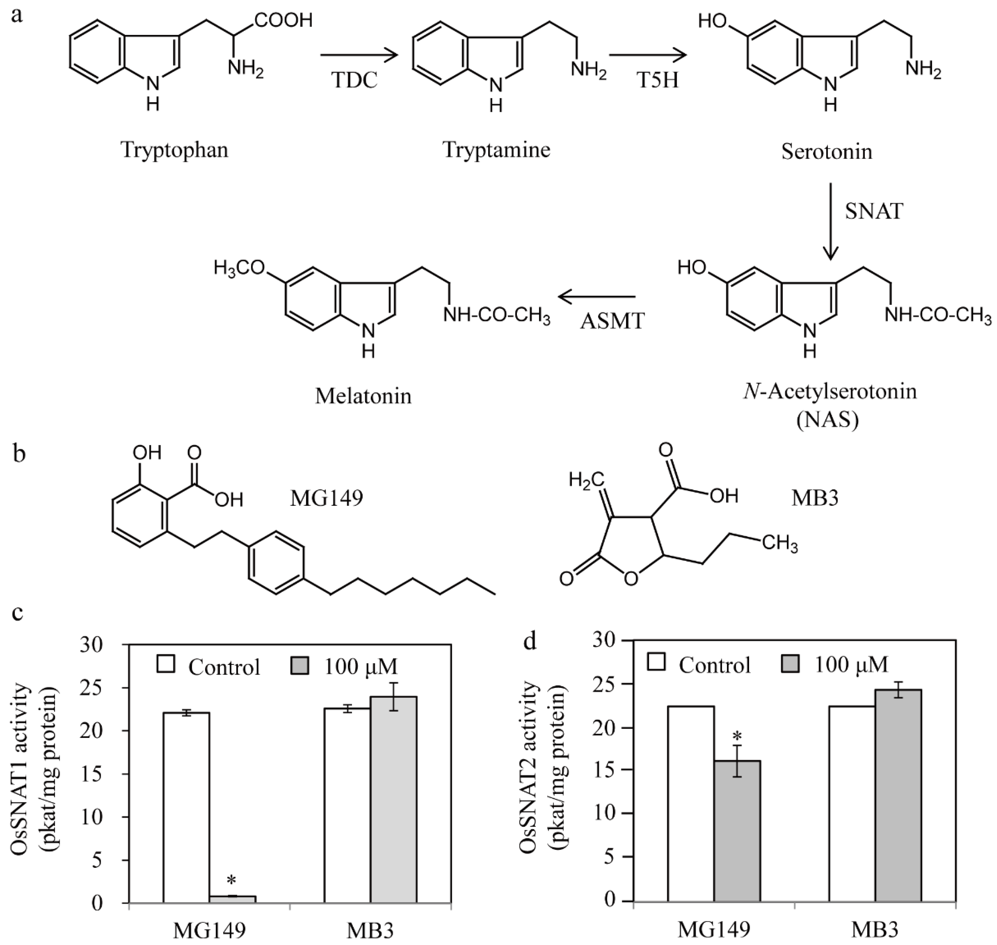 Biomolecules 11 00658 g001