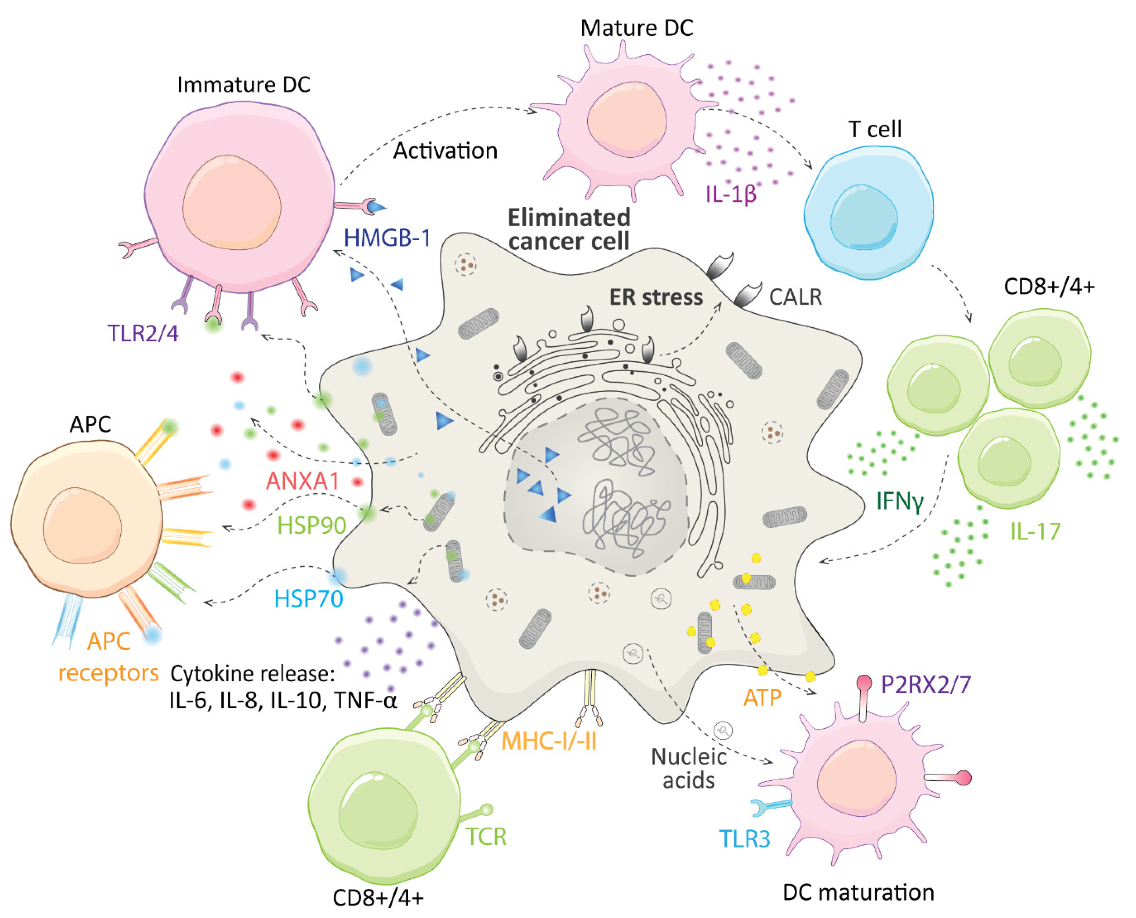 Biomolecules 11 00659 g003