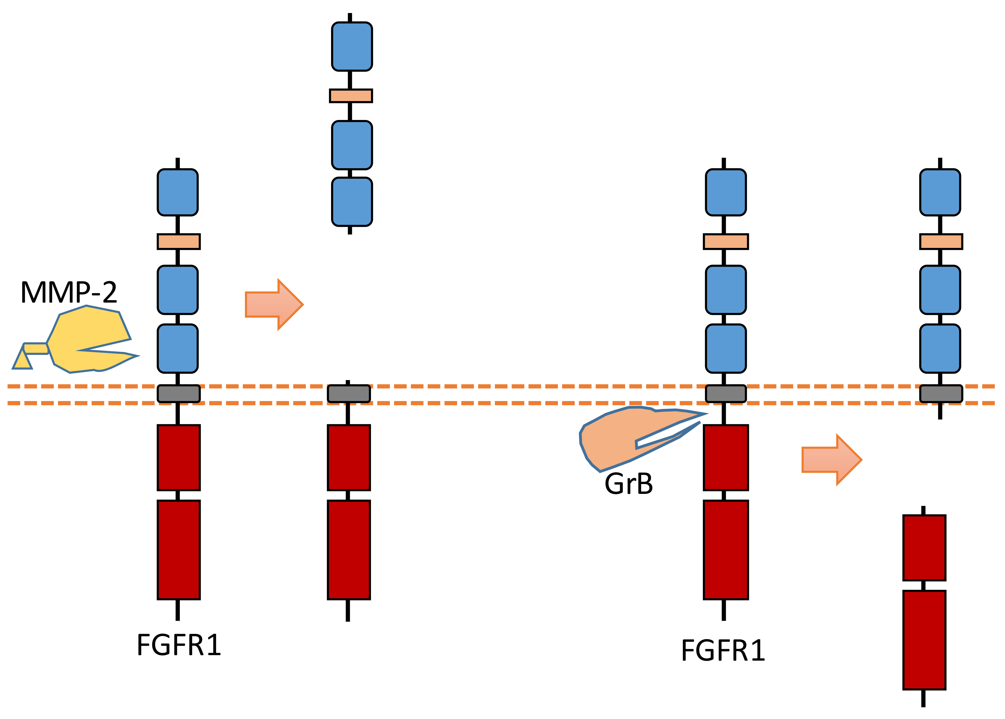 Biomolecules 11 00660 g008 Biomolecules 11 00660 g008