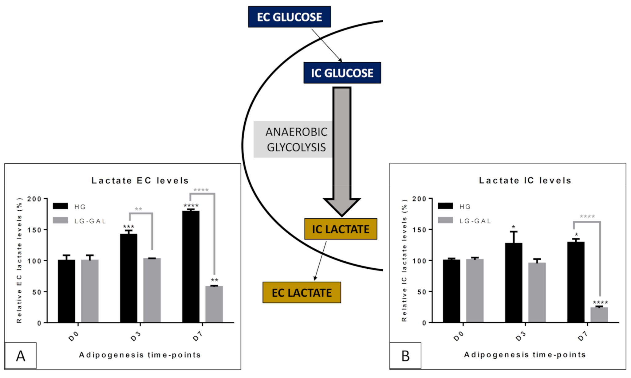 Biomolecules 11 00662 g003