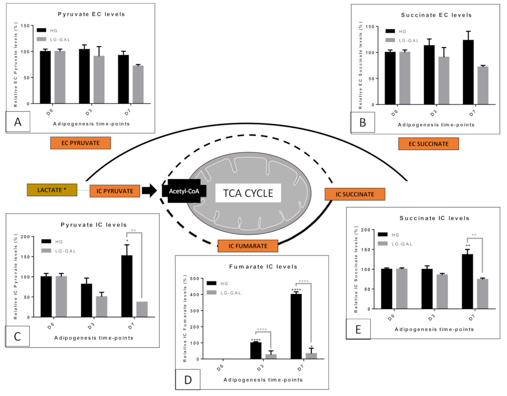 Biomolecules 11 00662 g004